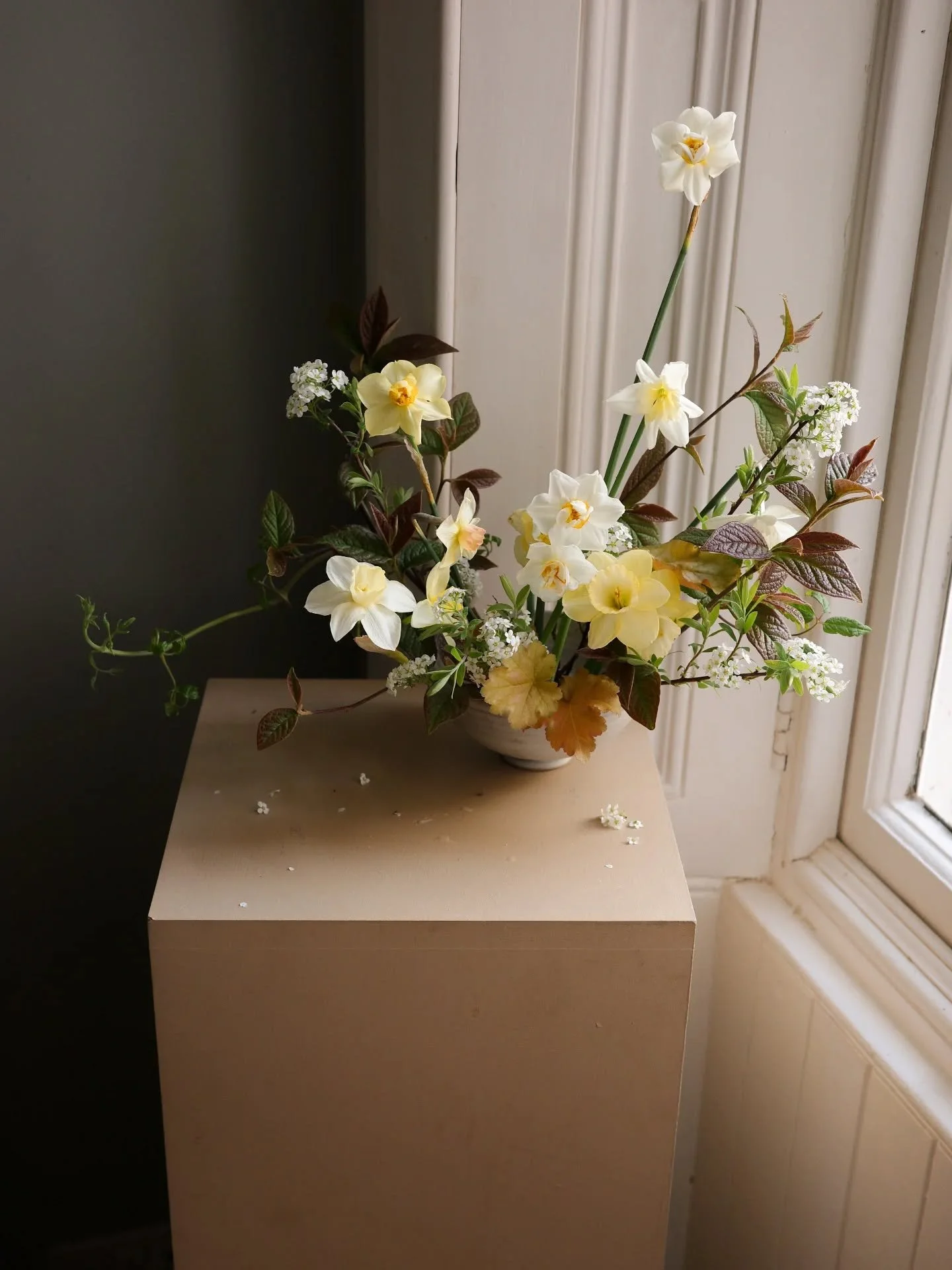 Breakfast. Toast, marmalade + a side order of eggs. 

Daffodils &bull; narcissi &bull; spring morning &bull; spring flowers &bull; breakfast blooms