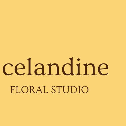 Celandine Floral Studio