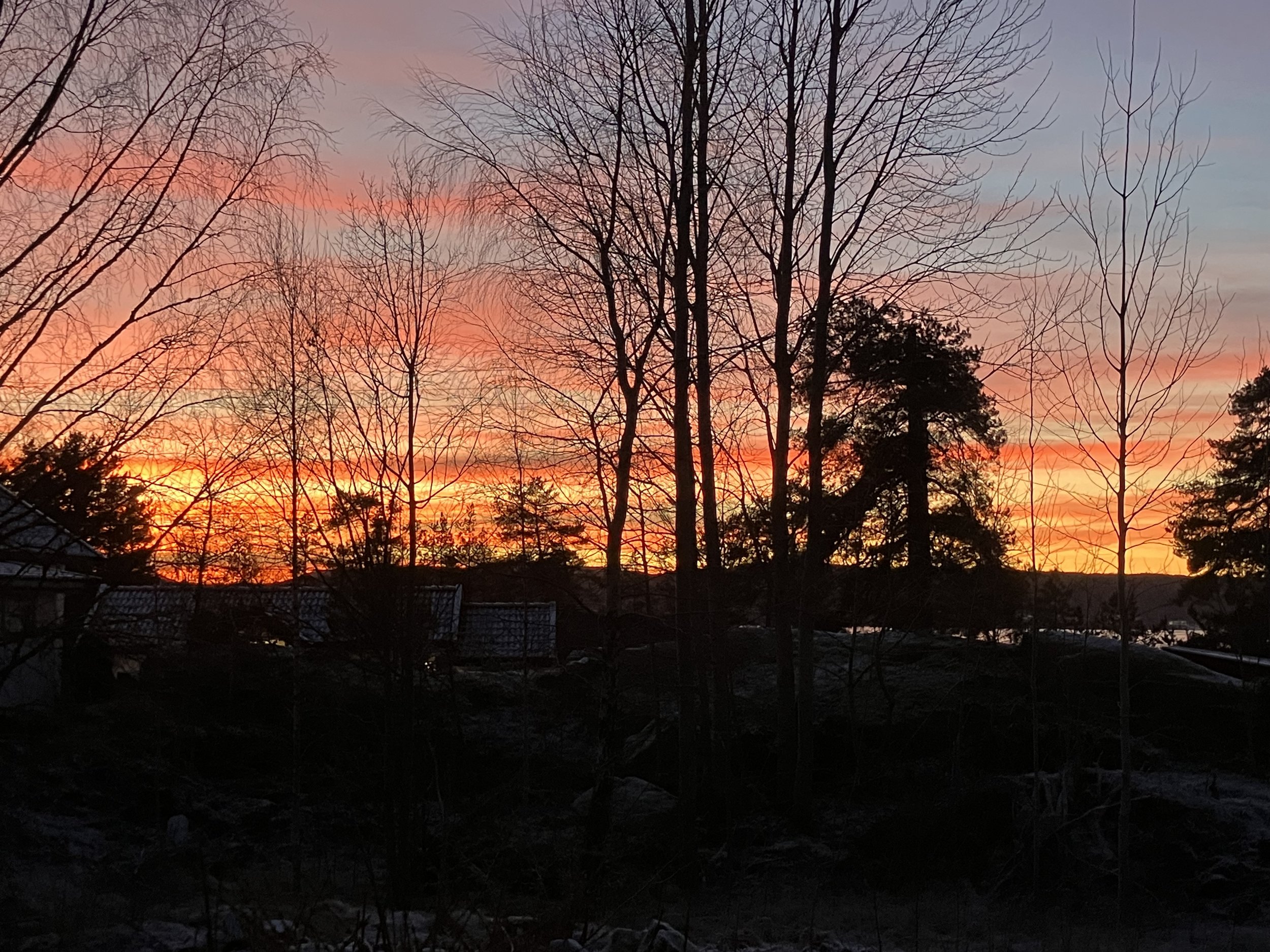 THE IMPORTANCE OF PLACE