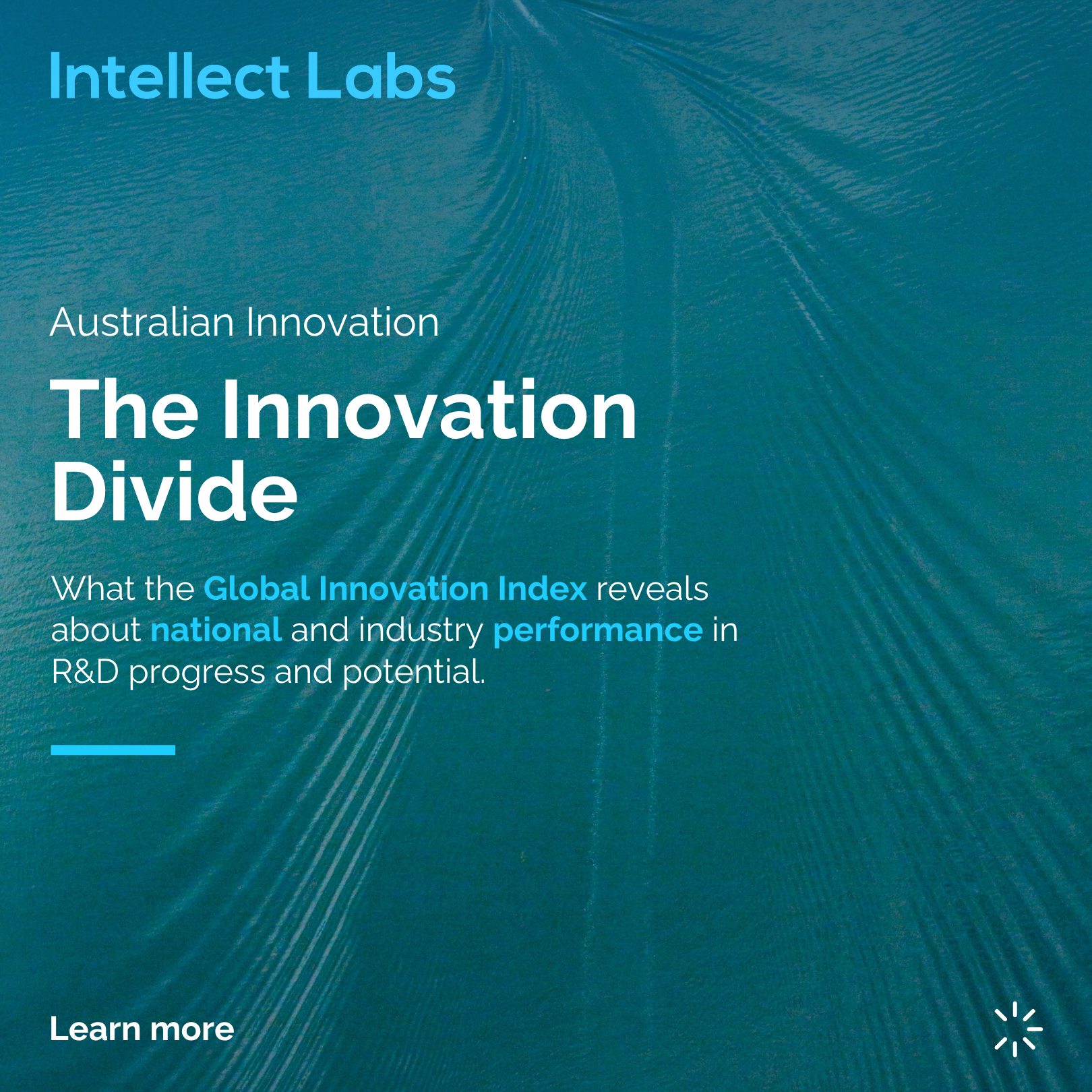 What the Global Innovation Index Reveals About National and Industry Performance in R&amp;D Progress and Potential