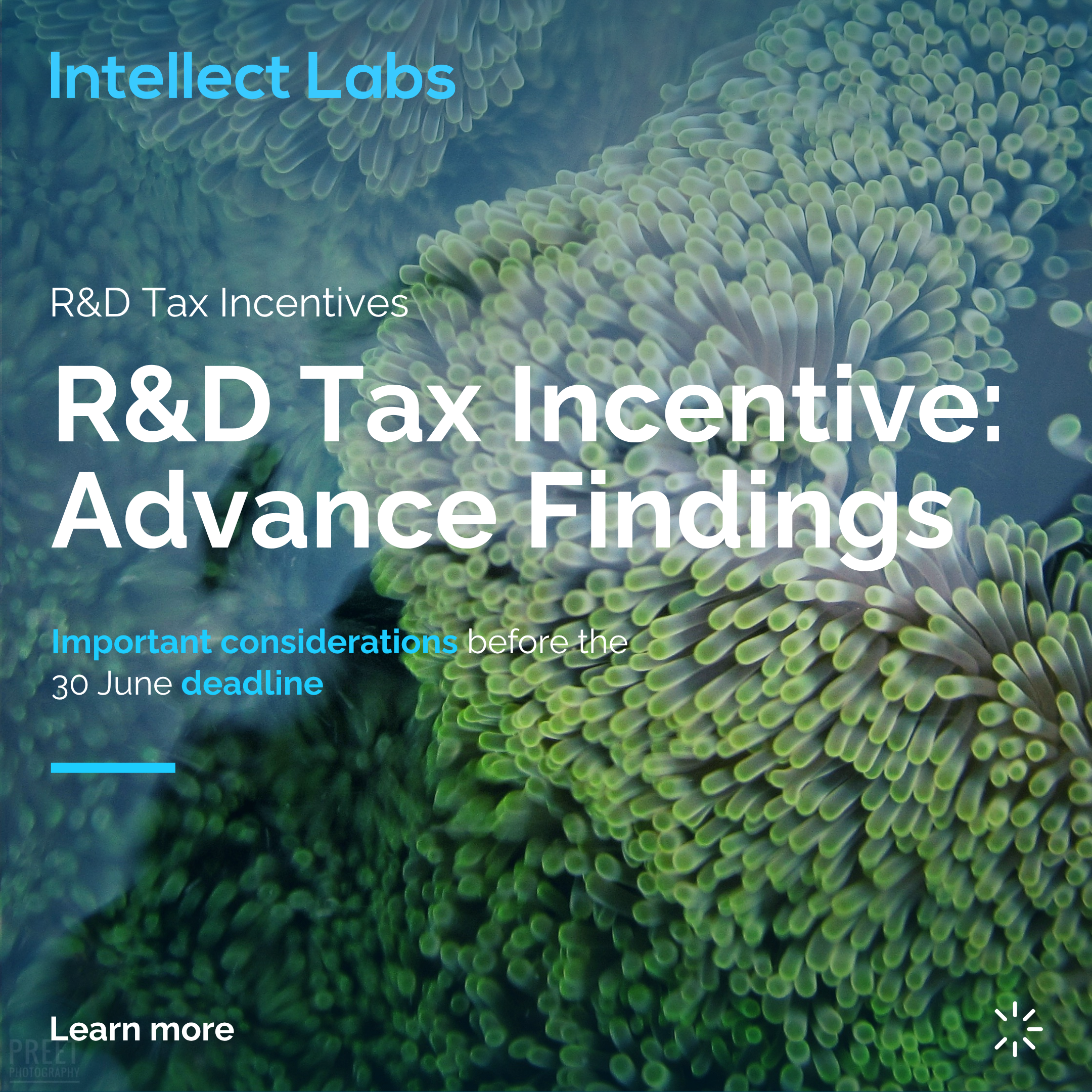 The Pros and Cons of Advance Findings for the R&amp;D Tax Incentive