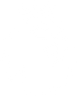 Premier League logo featuring a lion.