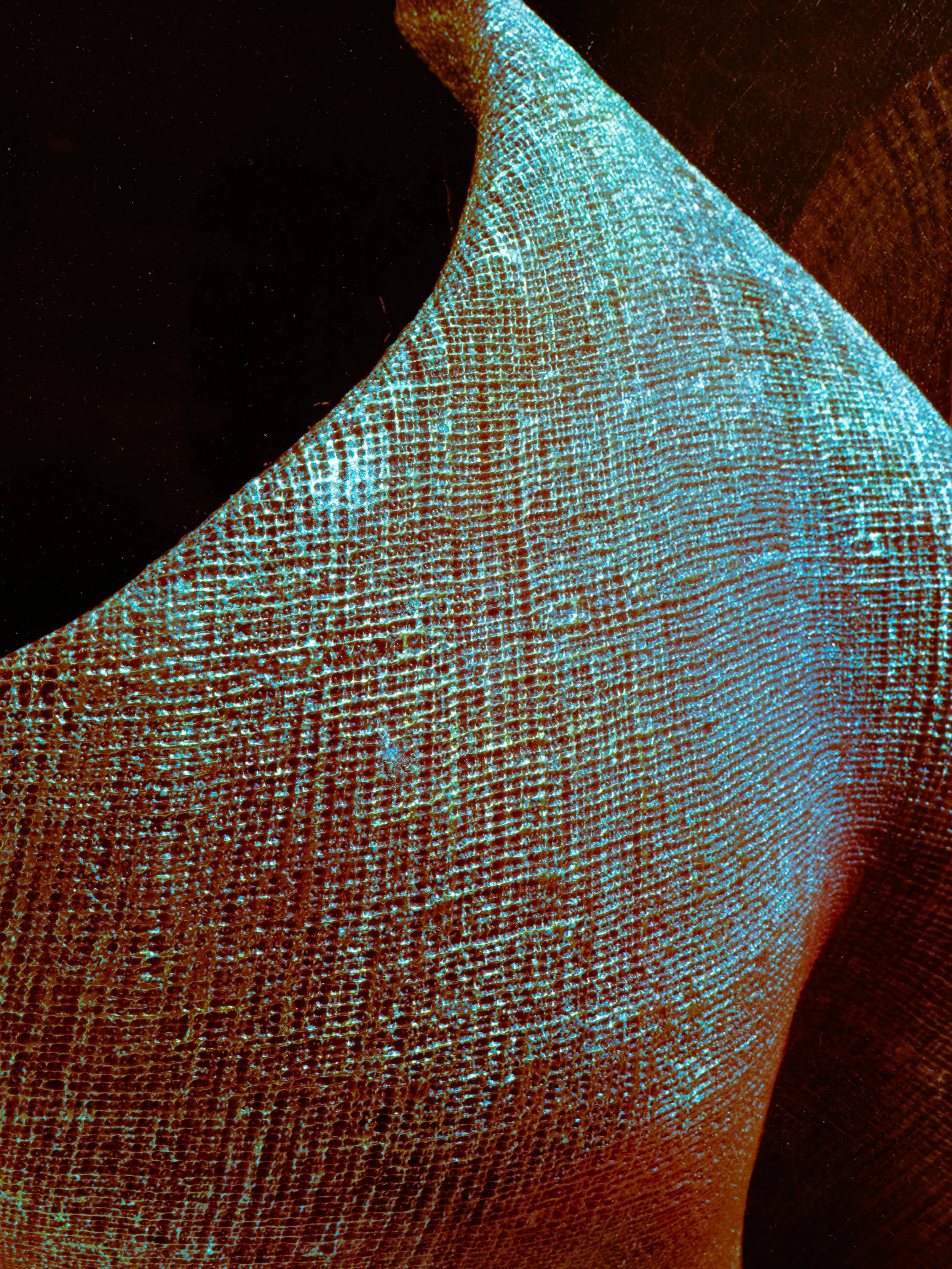 _DSC2555-Edit.jpg