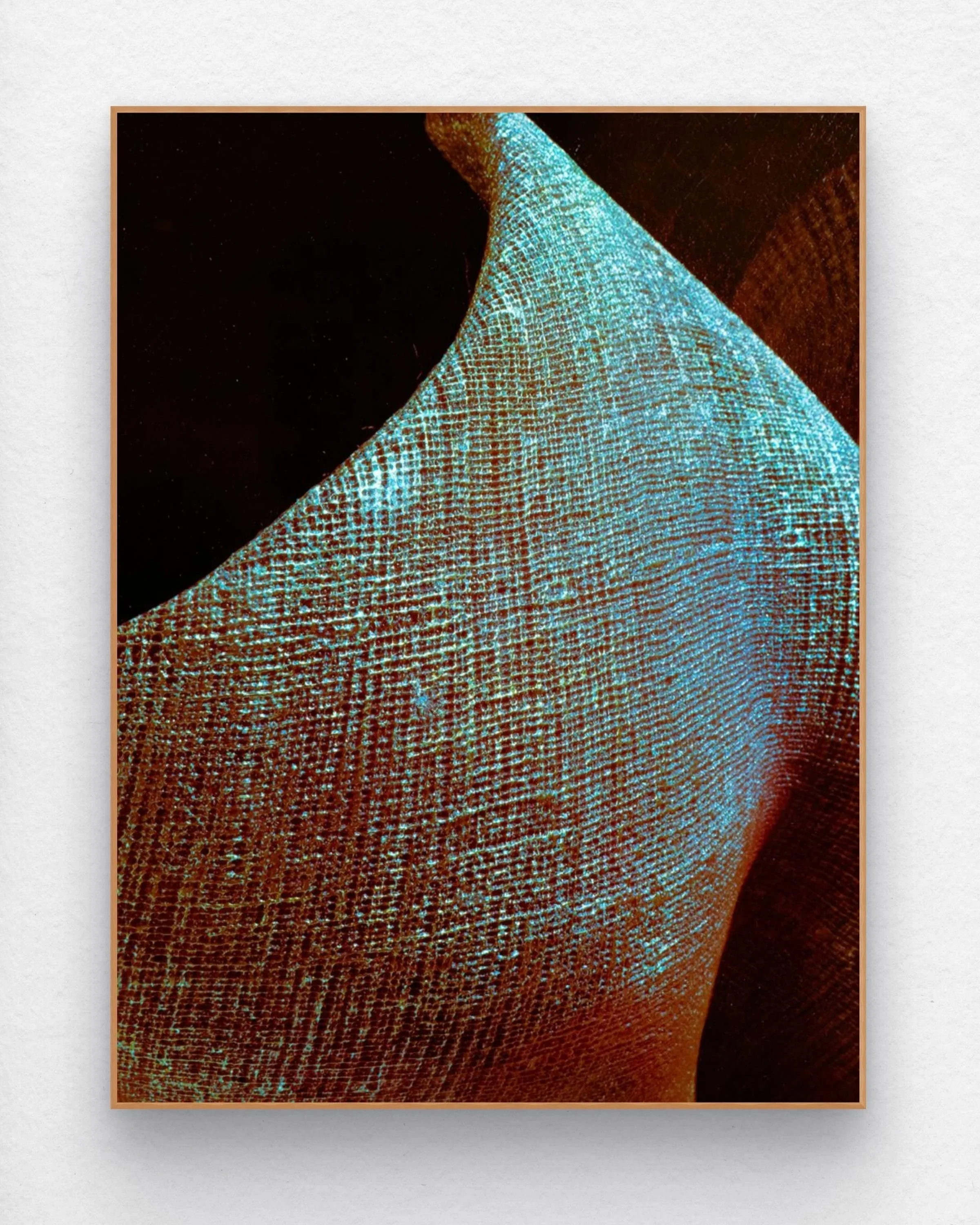 pop_white_texture_keyline_frams-large+%2813%29.jpg