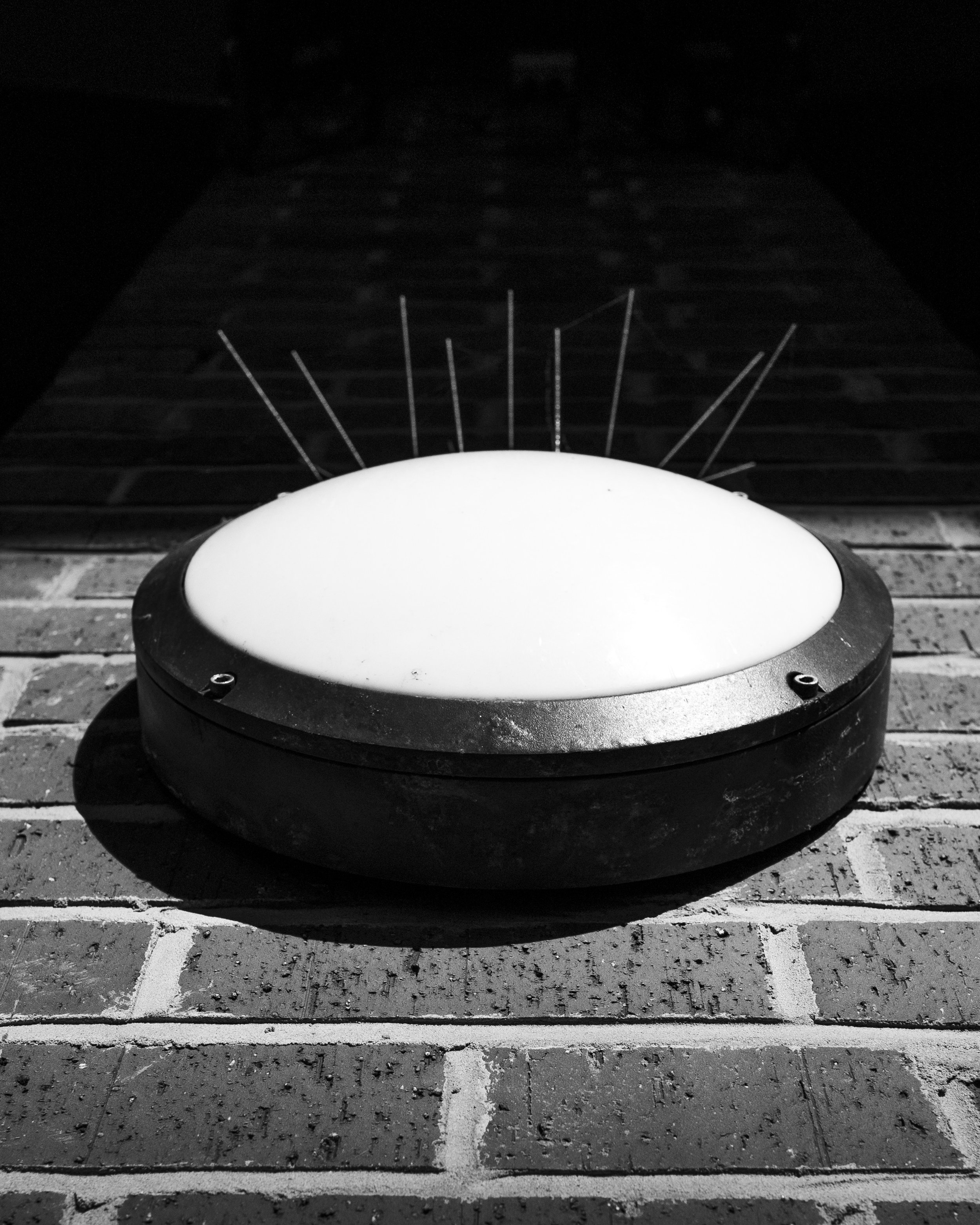 Light Security, 2023