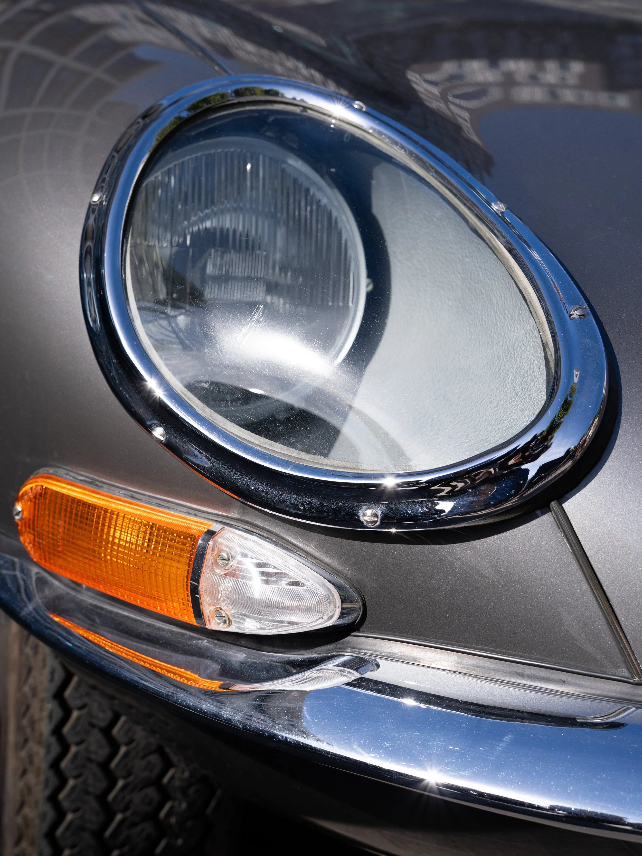 DSC09811-Editx.jpg