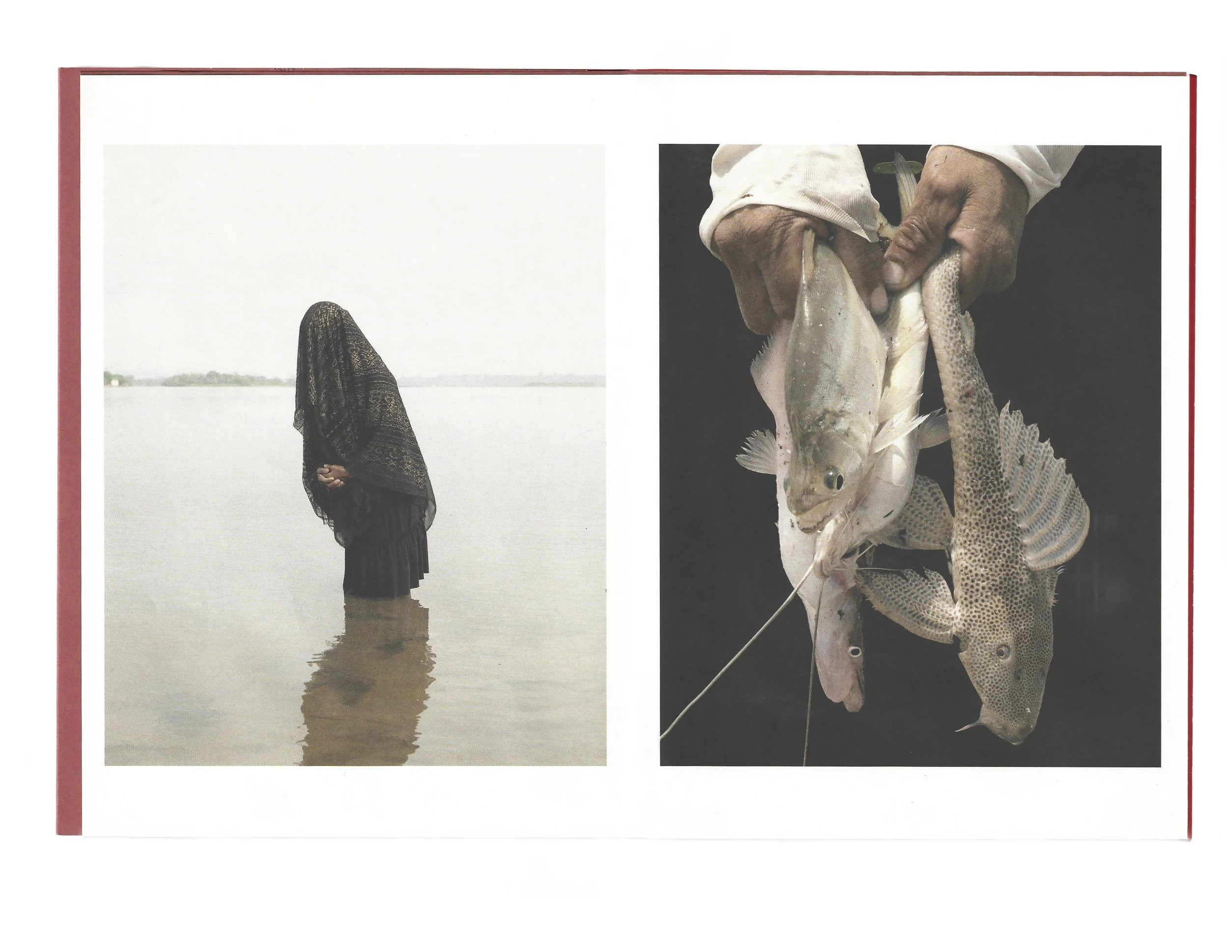 Copy of FRB-AV-SCAN_100_2.jpg