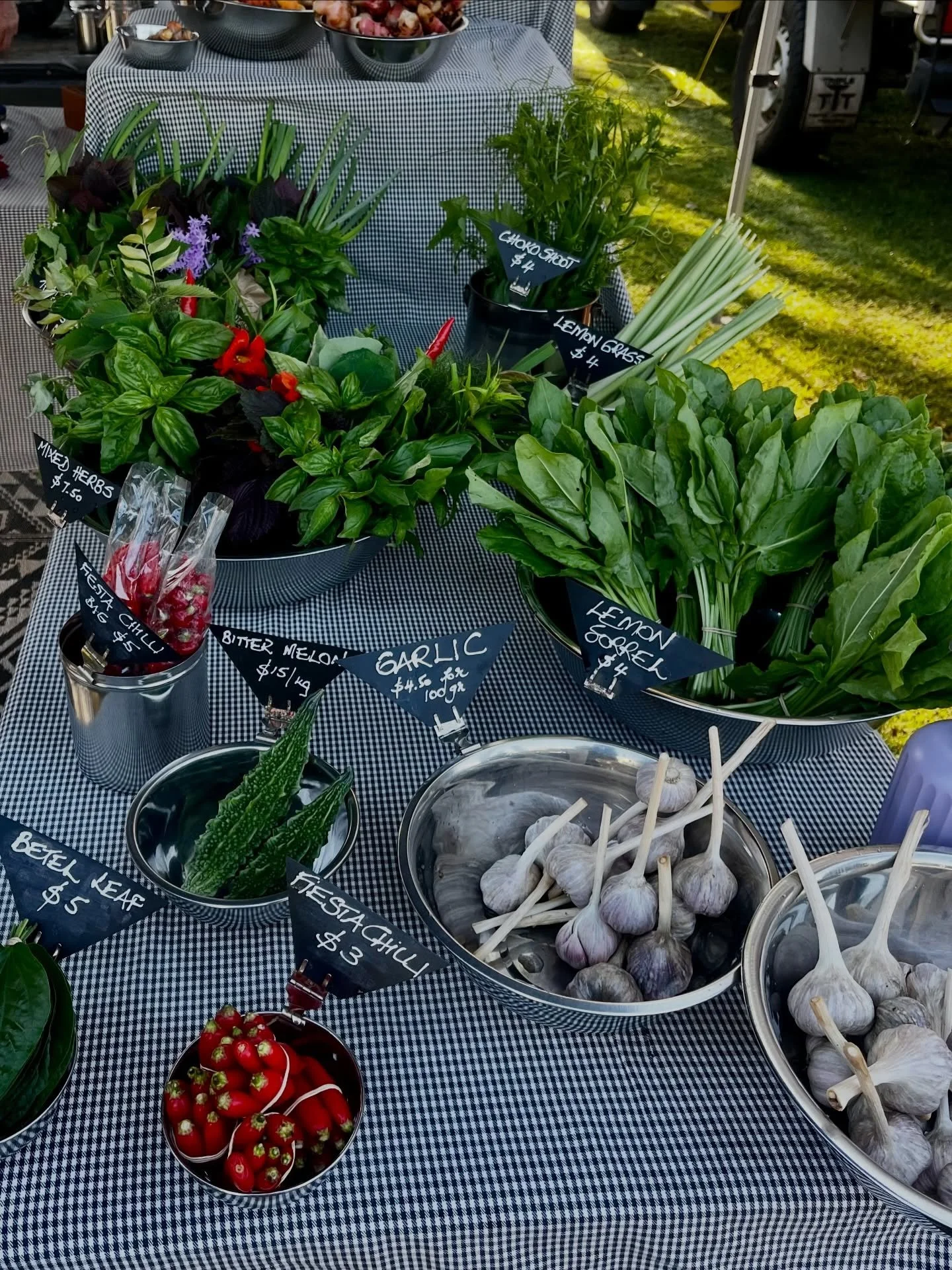 This past month has been a whirlwind in the best way 🌱 Here&rsquo;s some lifestyle medicine keeping me inspired, grounded and happy :) 

farmers markets, local gatherings, community gardens, yoga classes, volunteering (third spaces like these build 