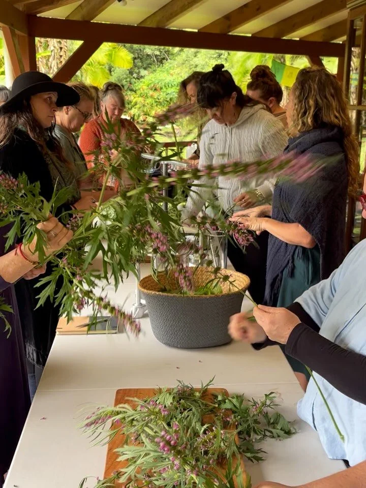 When women gather 🌸 Reflections on the third and final medicine making series @alchemillaherbals held at @flourish_sanctuary last weekend. We delved into fresh plant tinctures using the folkloric tincture method, a traditional way of creating herbal