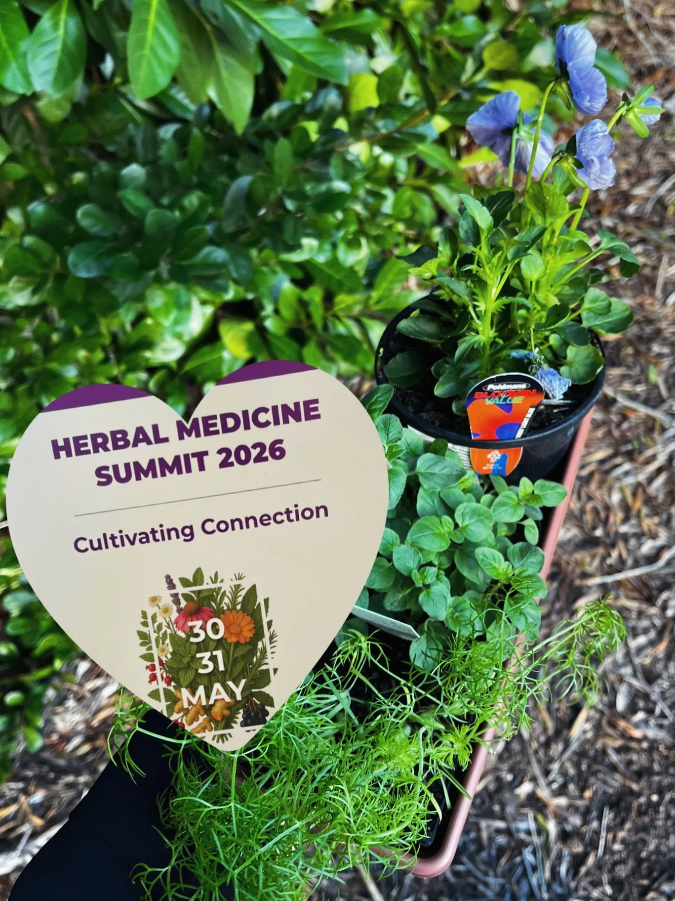 Last weekend I attended the @nhaa.est1920 Herbal Medicine Summit on the Sunshine Coast 🌞 Too immersed in learning and conversations to capture but I think this sums it up 💛 

After 3 years of @nhaa.est1920 membership, this was my first conference. 