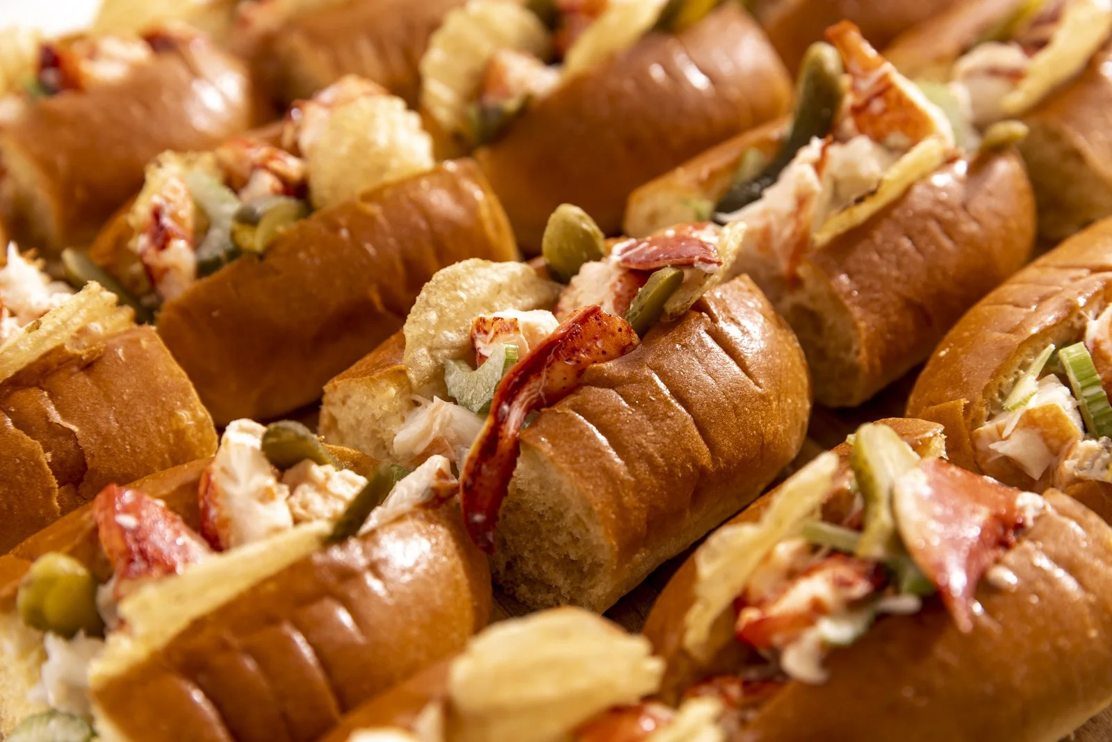 Ultimate lobster rolls with pickles and potato chips inside - shot as a seafood test - photographed by Matt Taylor-Gross - food styling, commercial food stylist NYC