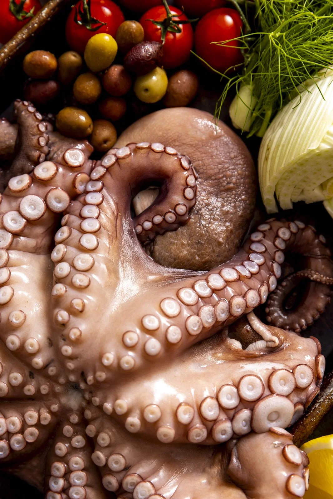 A close up shot of a whole octopus with olives, fennel and tomatoes, photographed by Matthew Taylor-Gross - food styling, commercial food stylist NYC