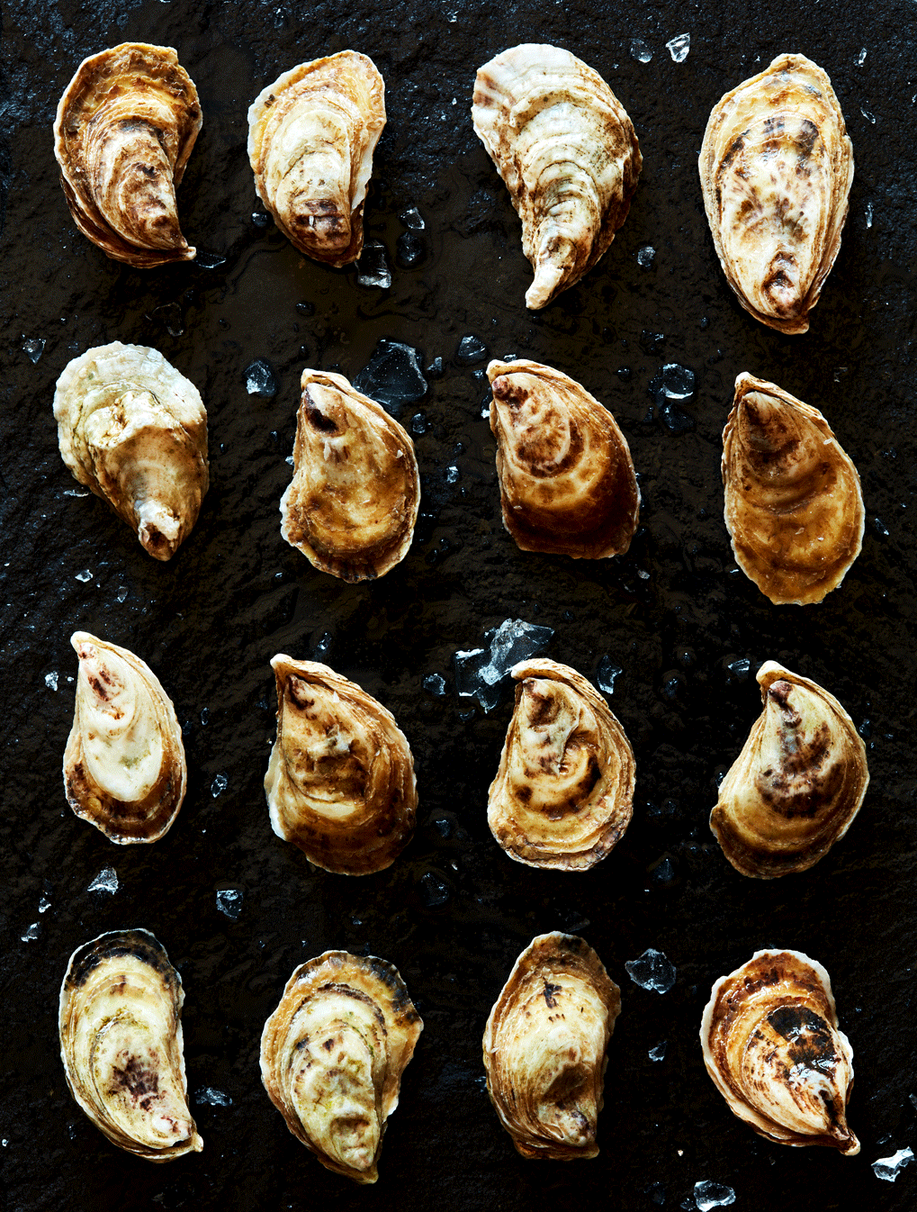 Stop motion of various oysters moving around - for a test concept shoot and photographed by Cheng Li - food styling, commercial food stylist NYC