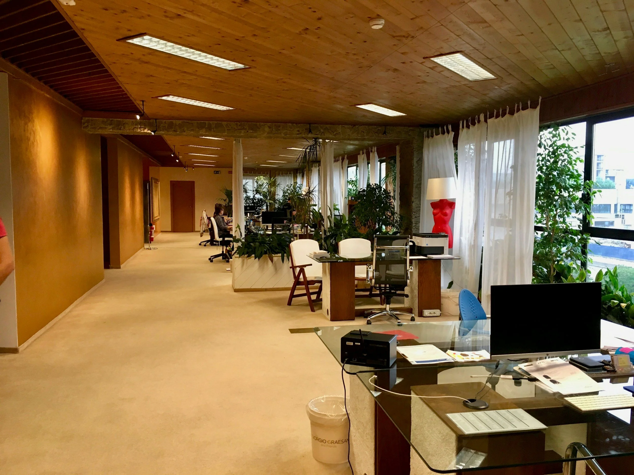 Modernes Büro mit mehreren Arbeitsplätzen, großen Fenstern mit weißen Vorhängen, zahlreichen Pflanzen, einem Schreibtisch mit Computer, und einer Person, die an einem Laptop arbeitet.