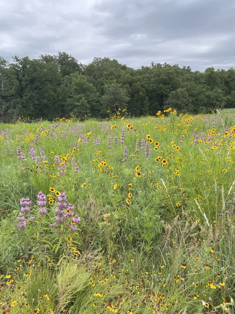 Oklahoma Native Plant Network