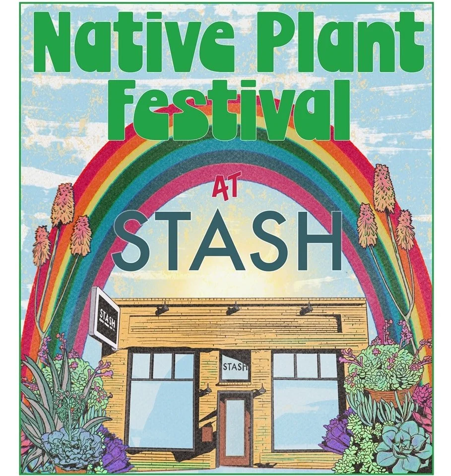 ONPN SPRING FESTIVAL at STAH