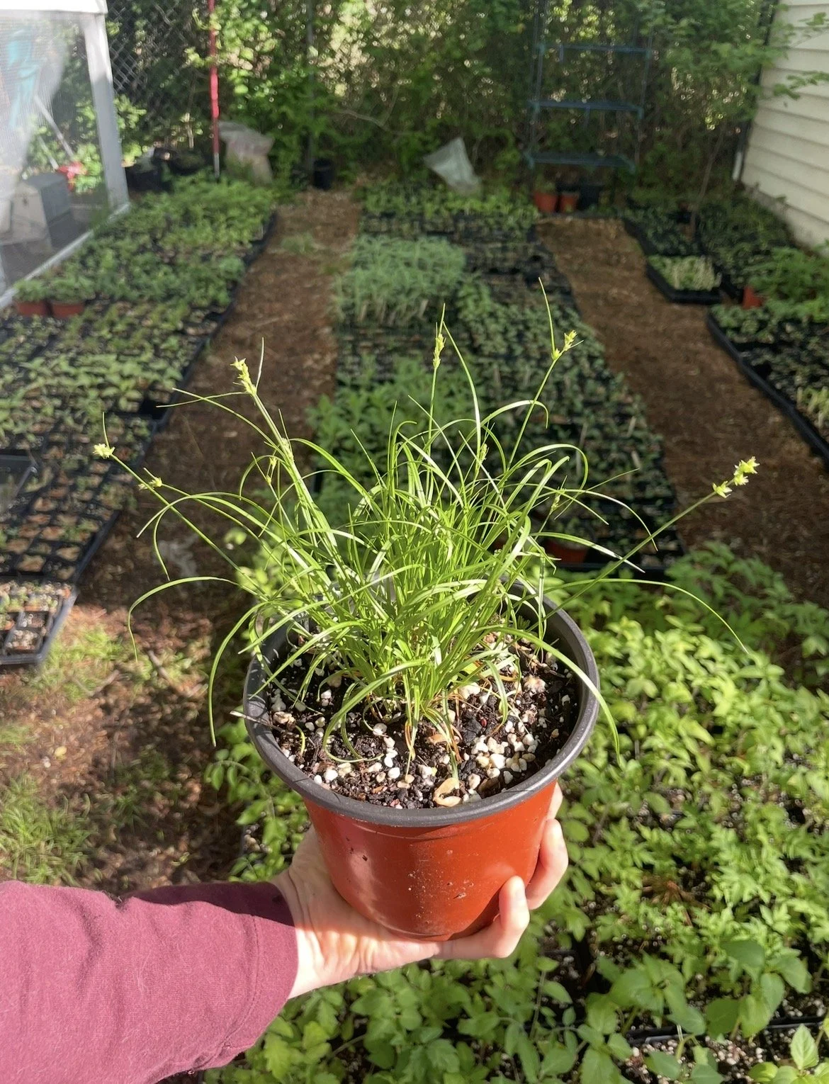 Life-Affirming Farm - Tulsa, OK