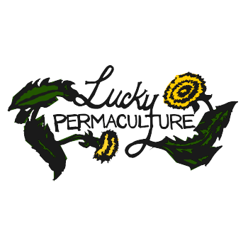 Lucky Permaculture: Install + Build + Maintain + Consult - Tulsa, OK