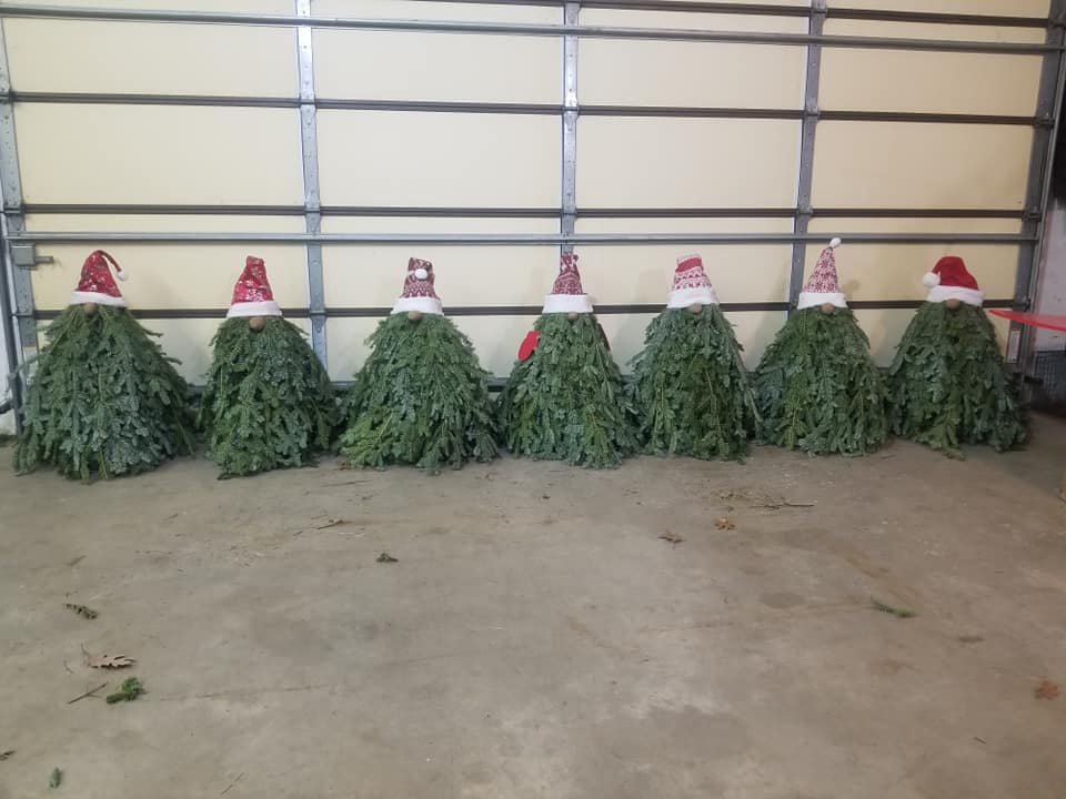 VanErt_Gnome_lineup.jpg