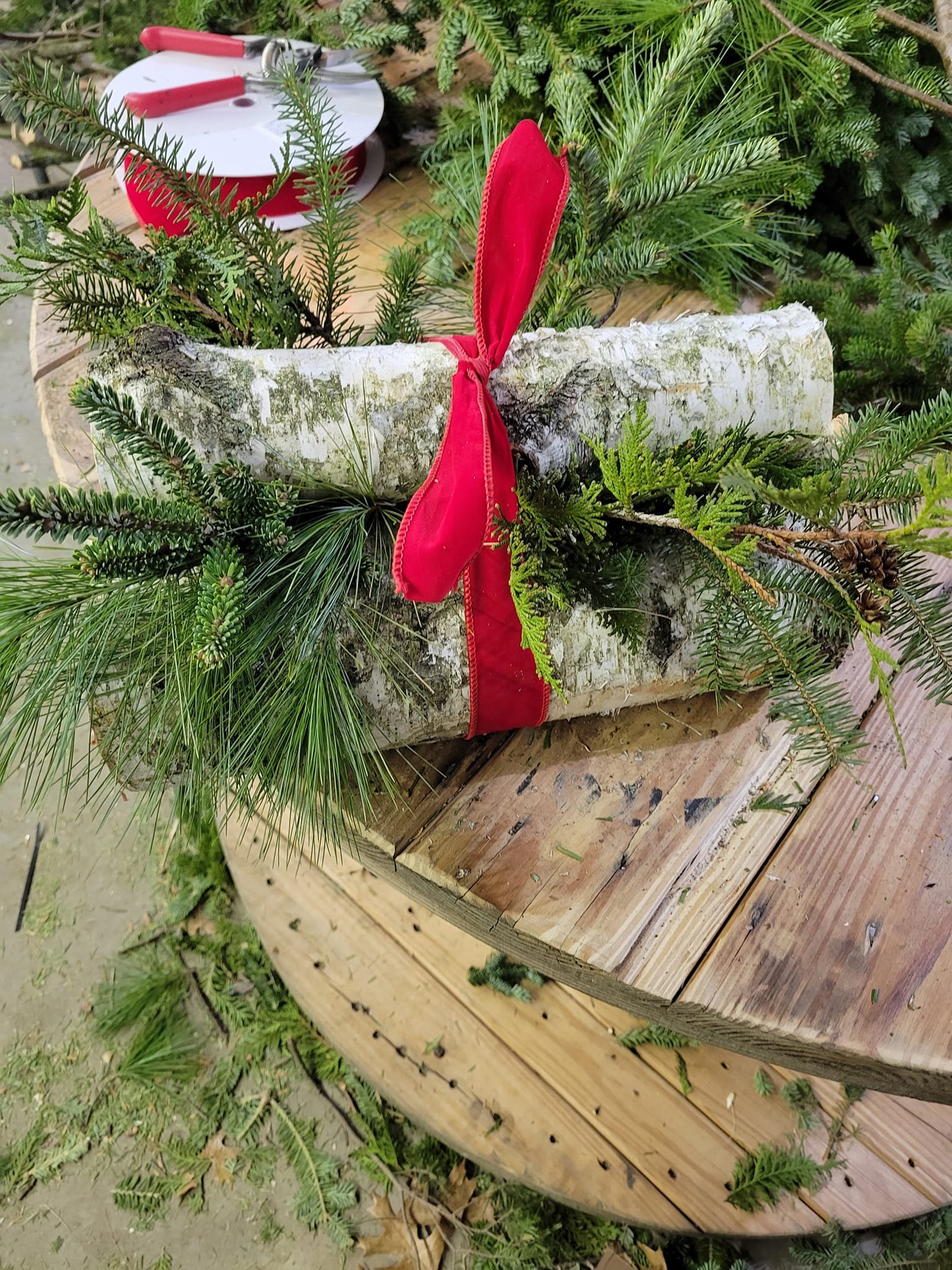 VanErt_ChristmasBundle.jpg