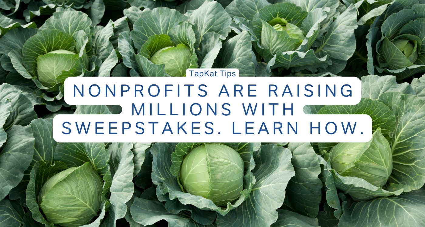 Nonprofits are Raising Millions with TapKat Sweepstakes. Learn How.