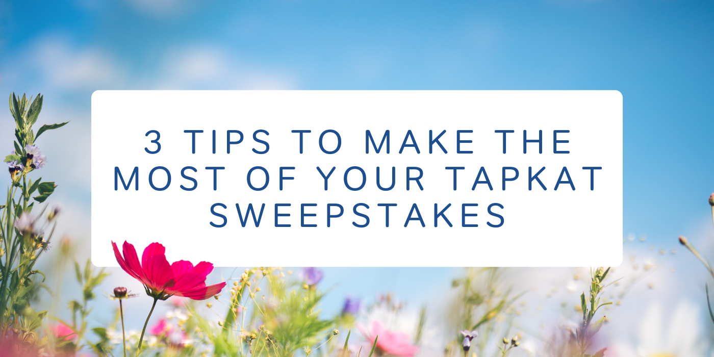 Homepage Blog Feature Images.png