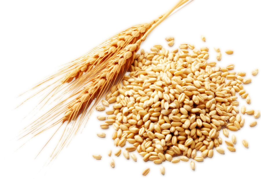 where should I buy flour?
