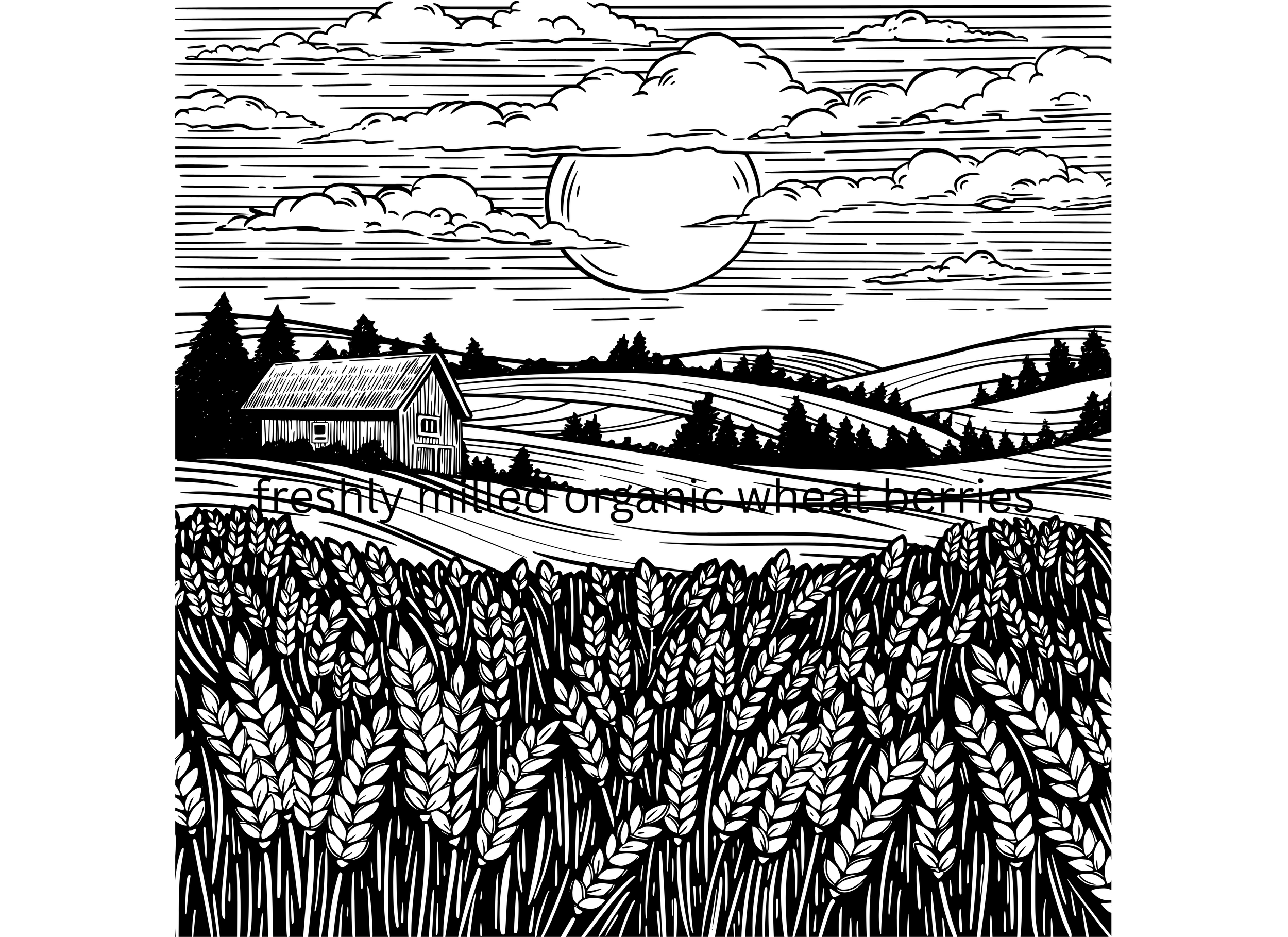 The Great Assumption