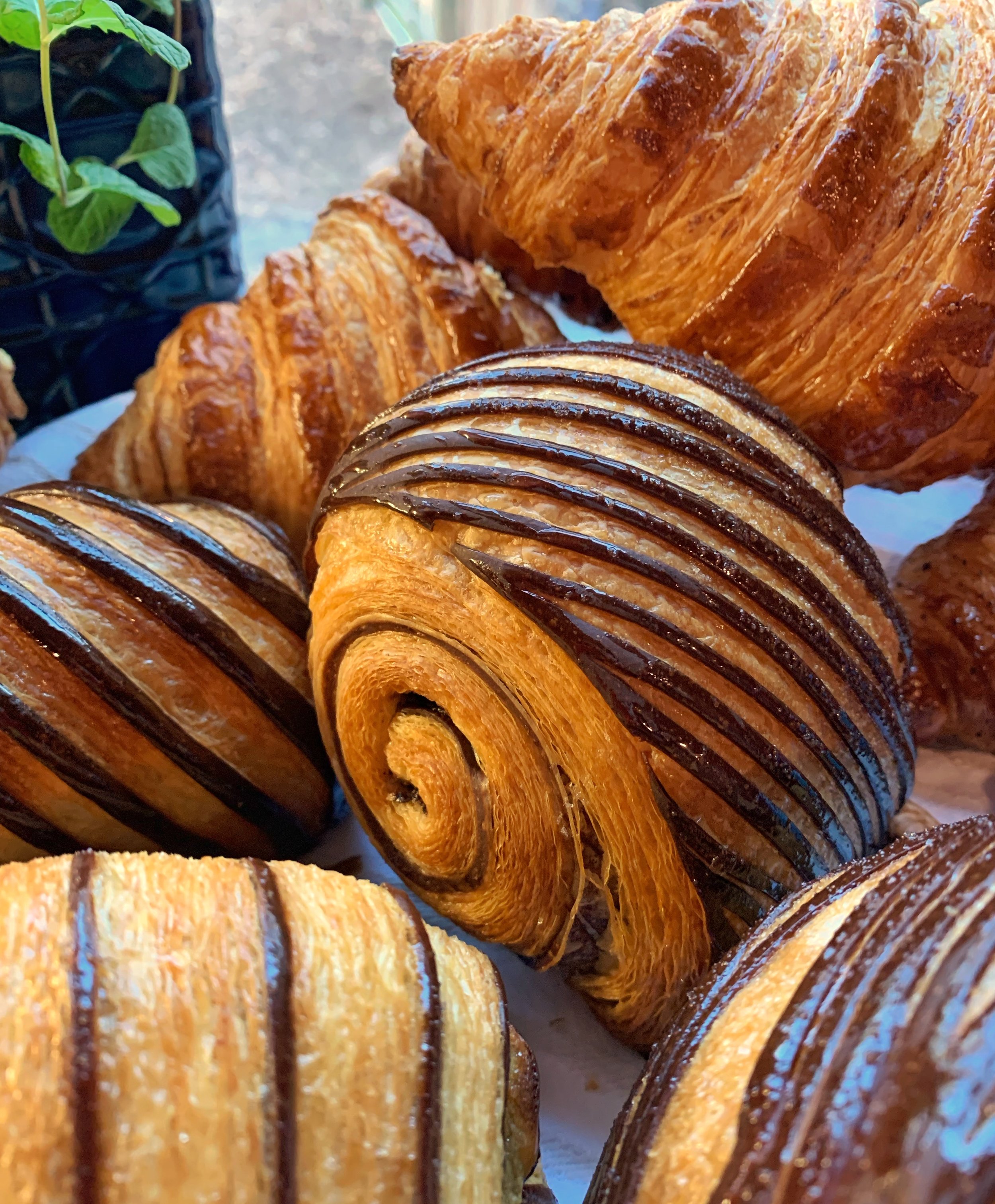 Pain au Chocolat, Pain Suisse, Chocolate & Praline Croissant, Butter Croissant, Pain au Jambon