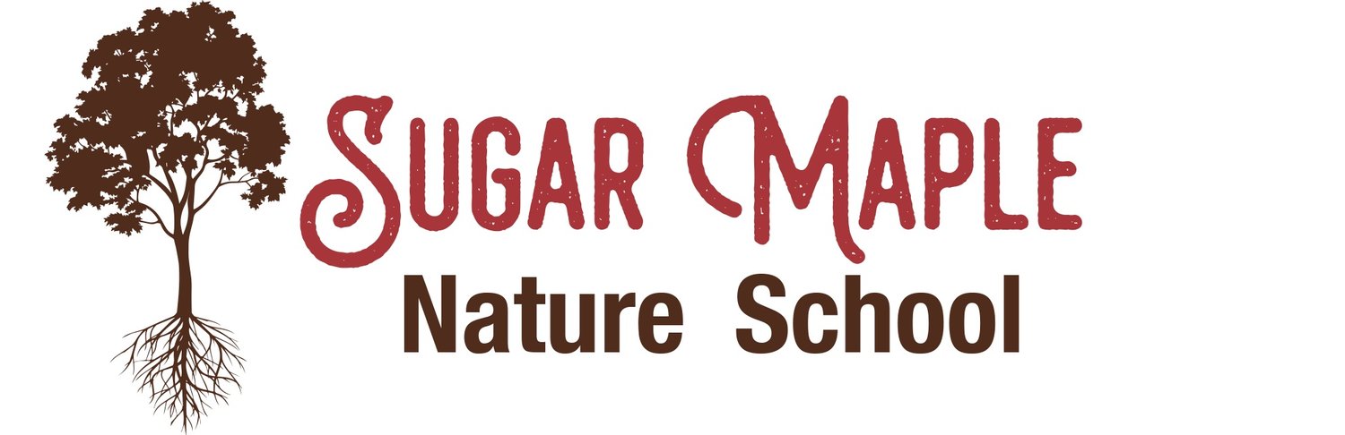 New Sugar Maple Nature School Website 