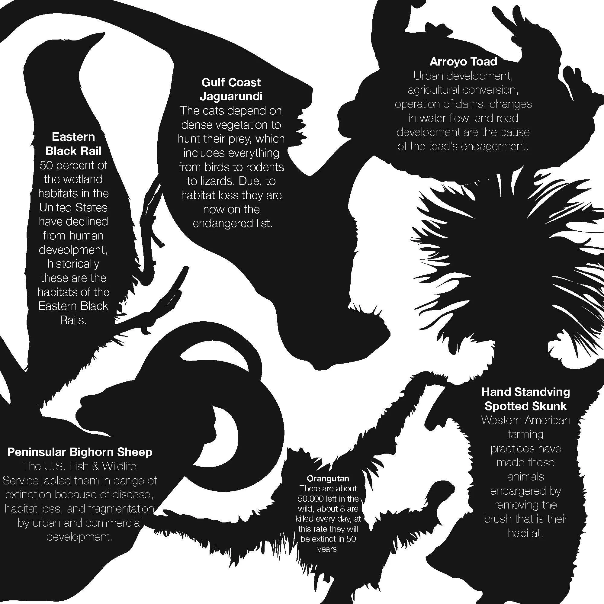 Hudson_Silhouettes1.jpg