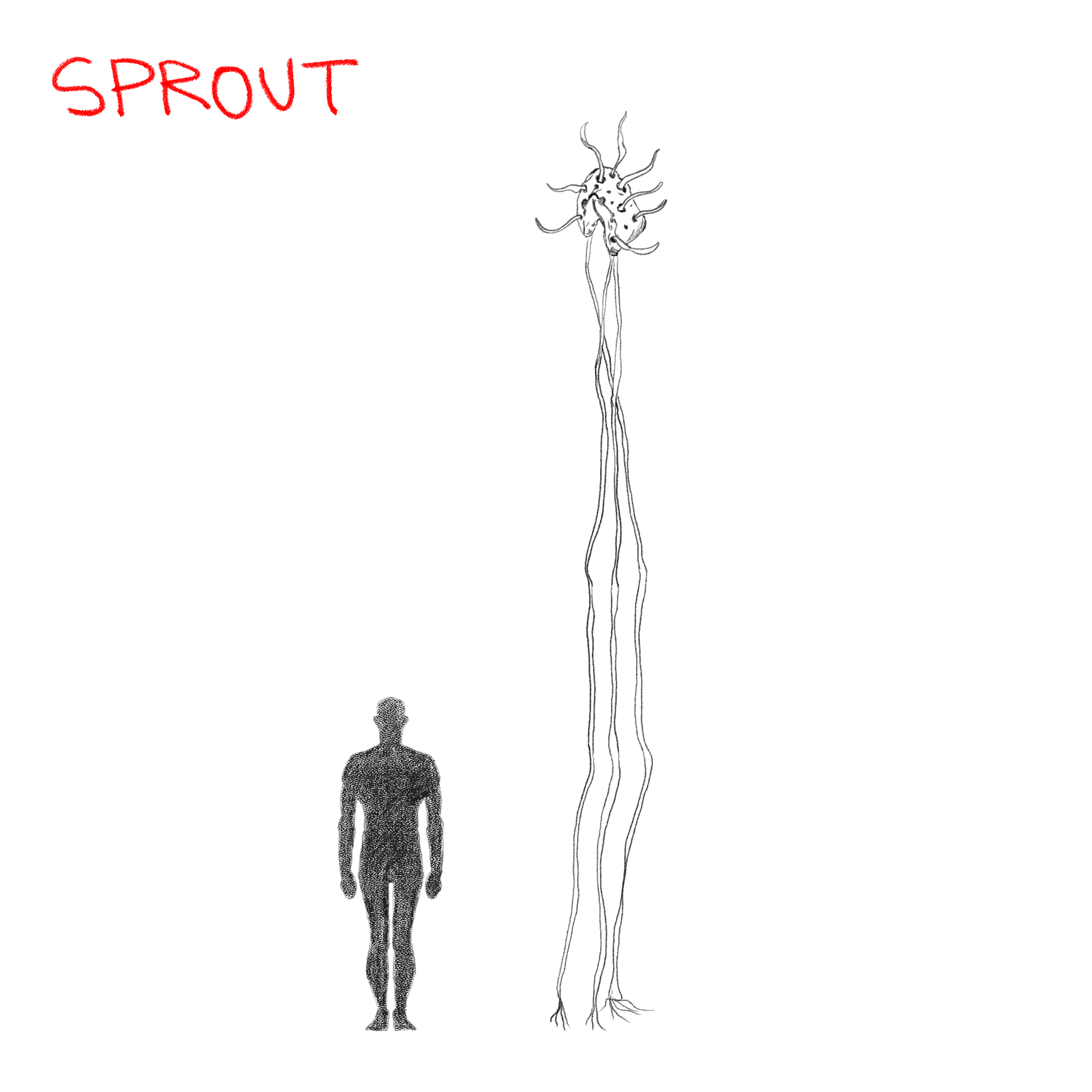 SPROUT.png