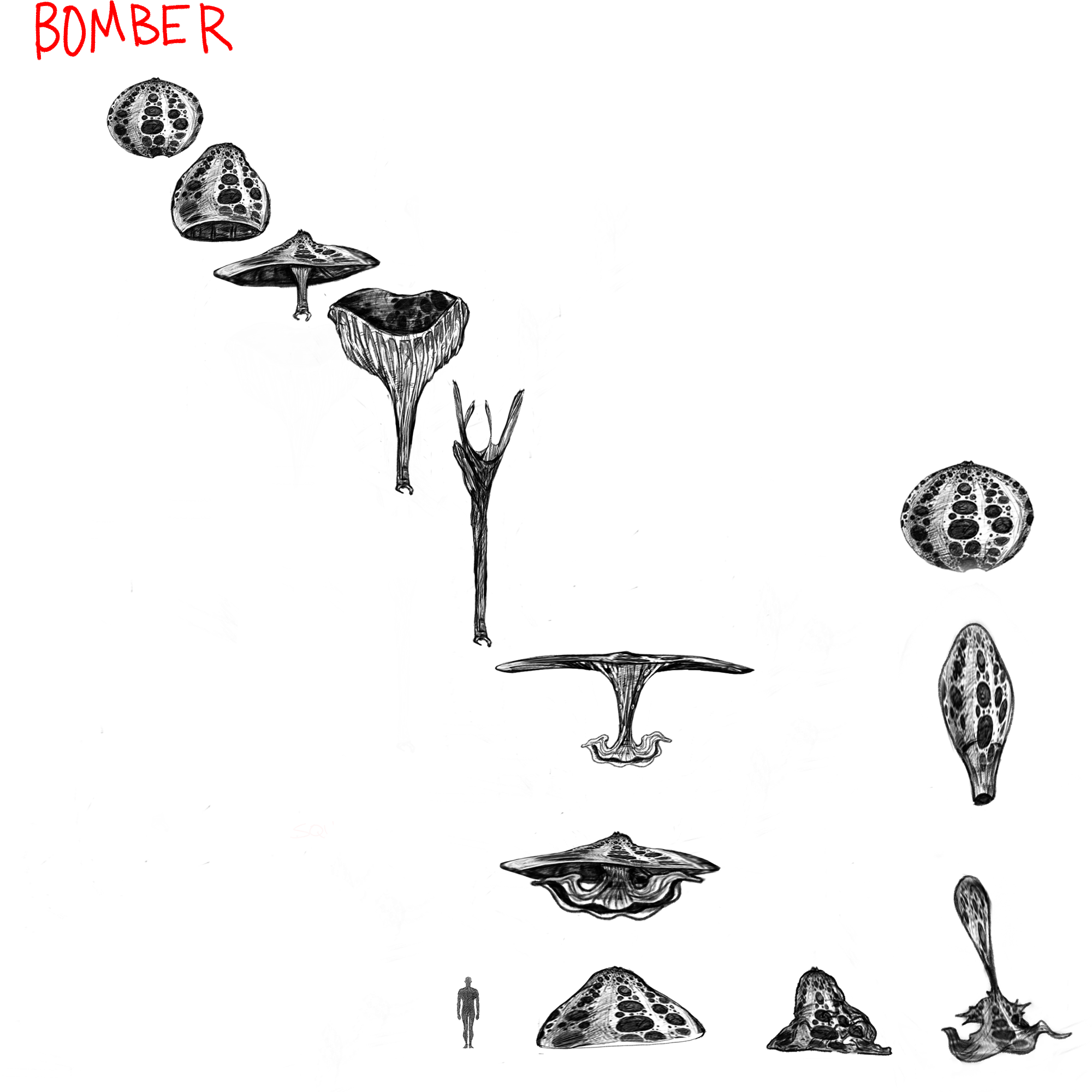 BOMBERS.png