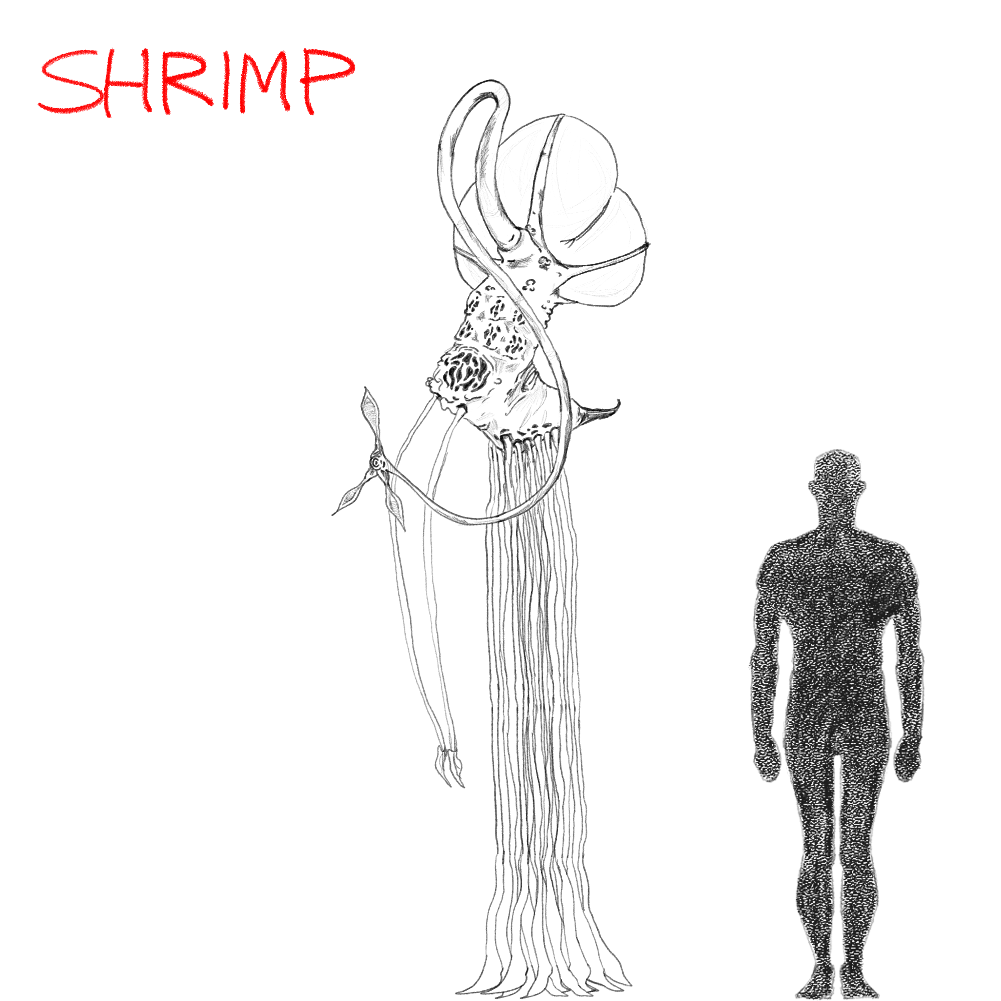 SHRIMP.png