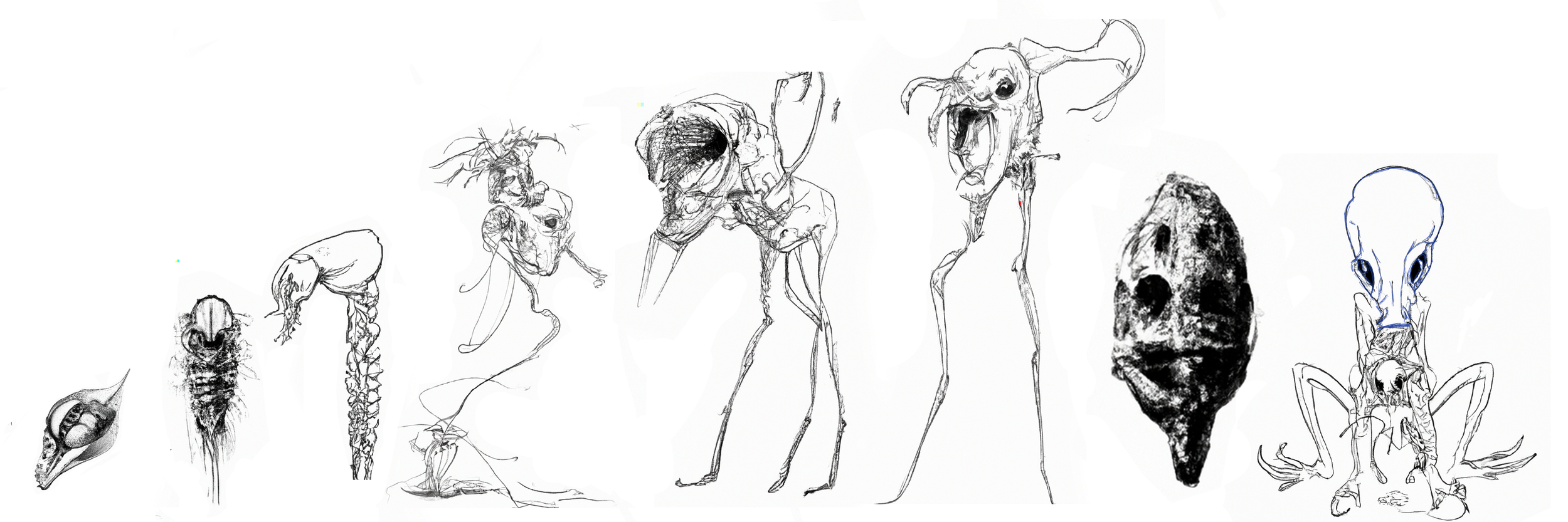 alien evolution.png