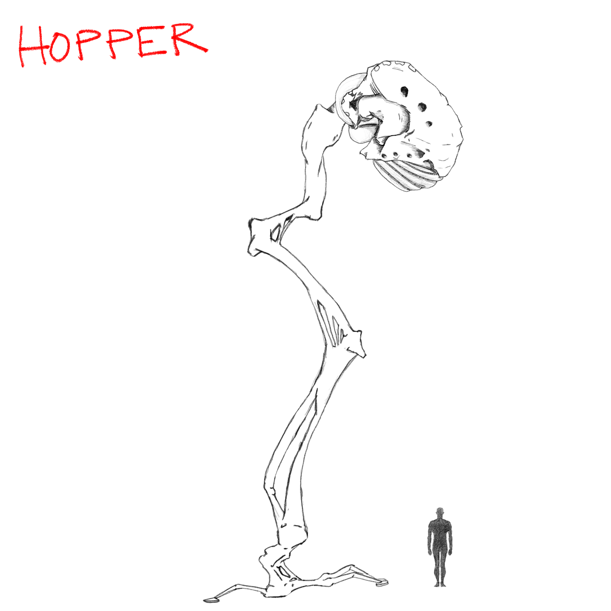 HOPPER.png