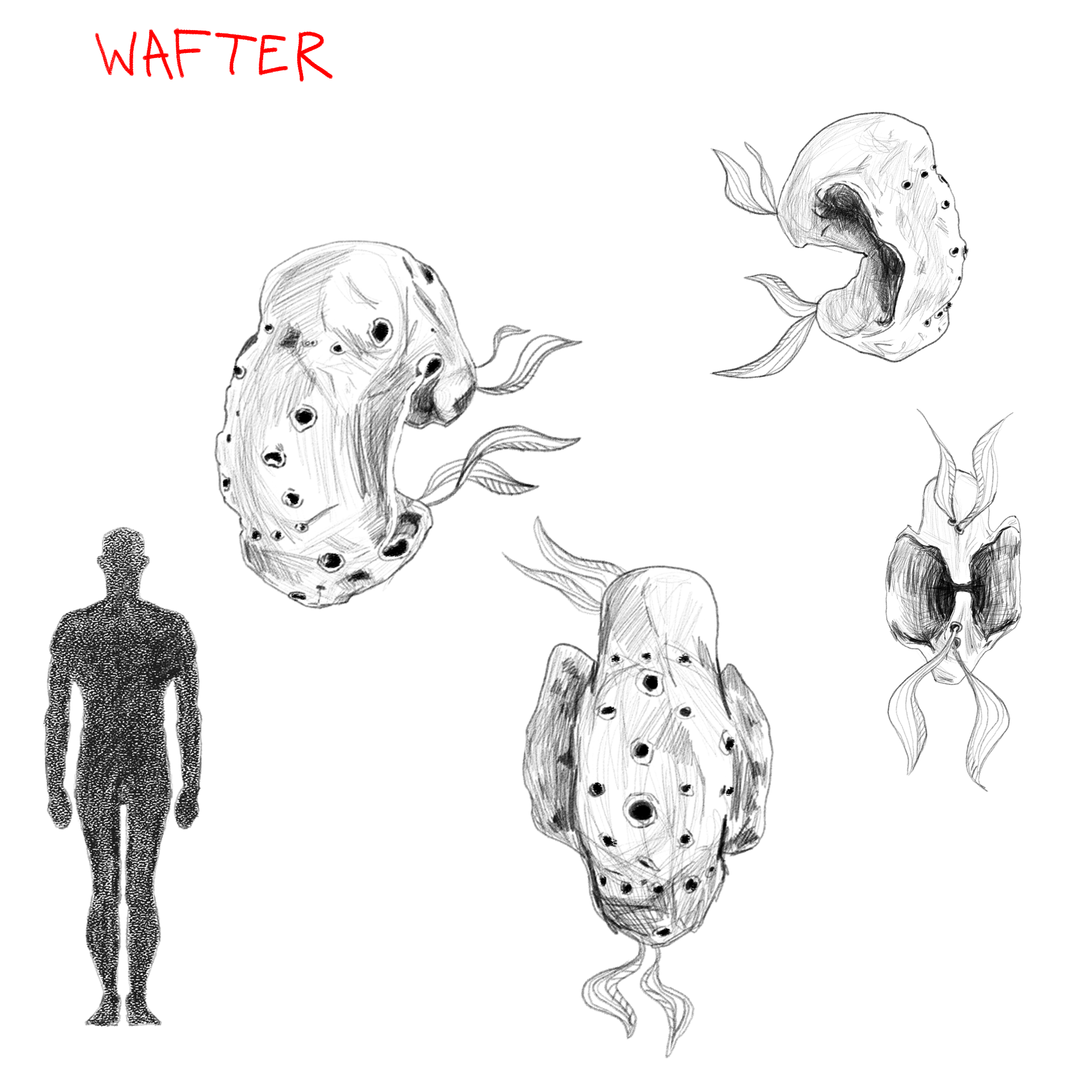WAFTER.png