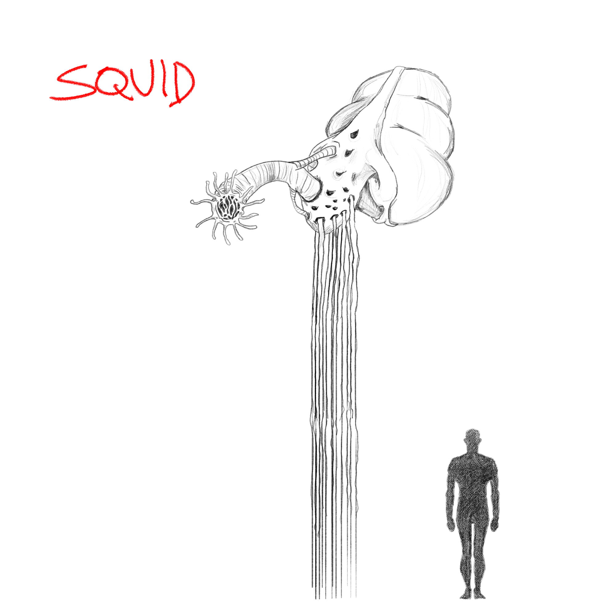 SQUID.png