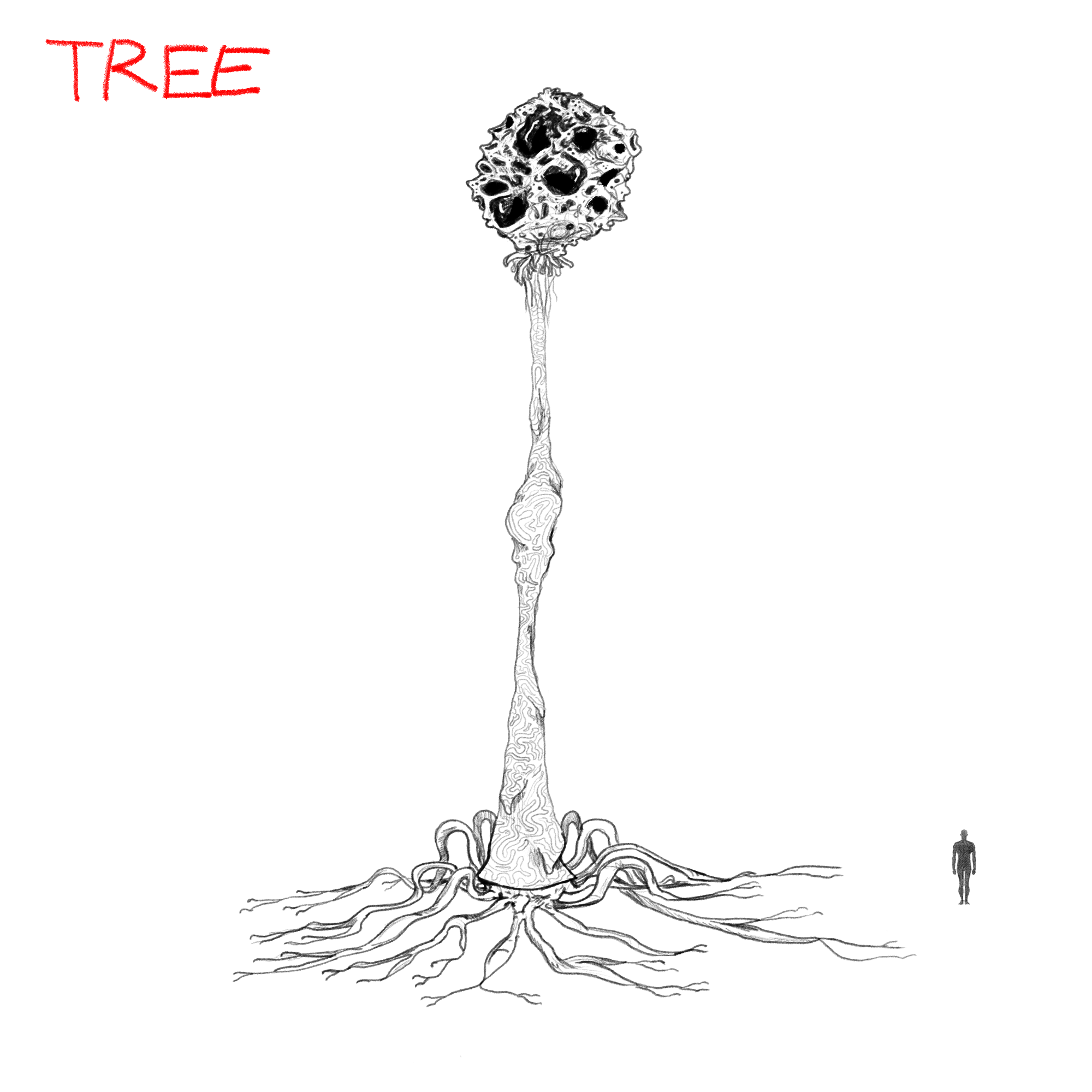 TREE.png