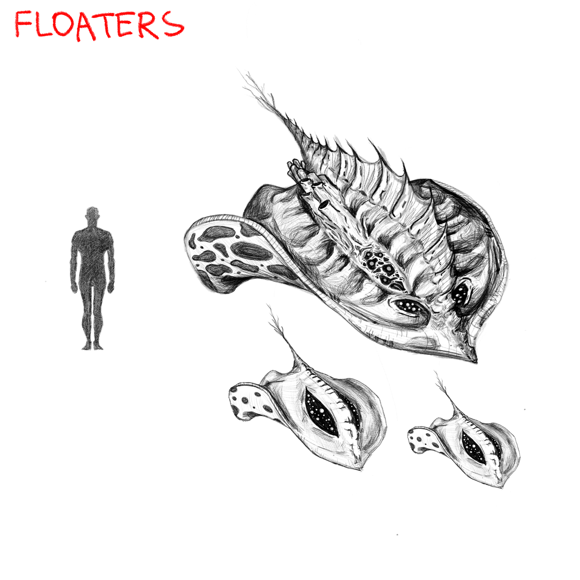 FLOATERS.png