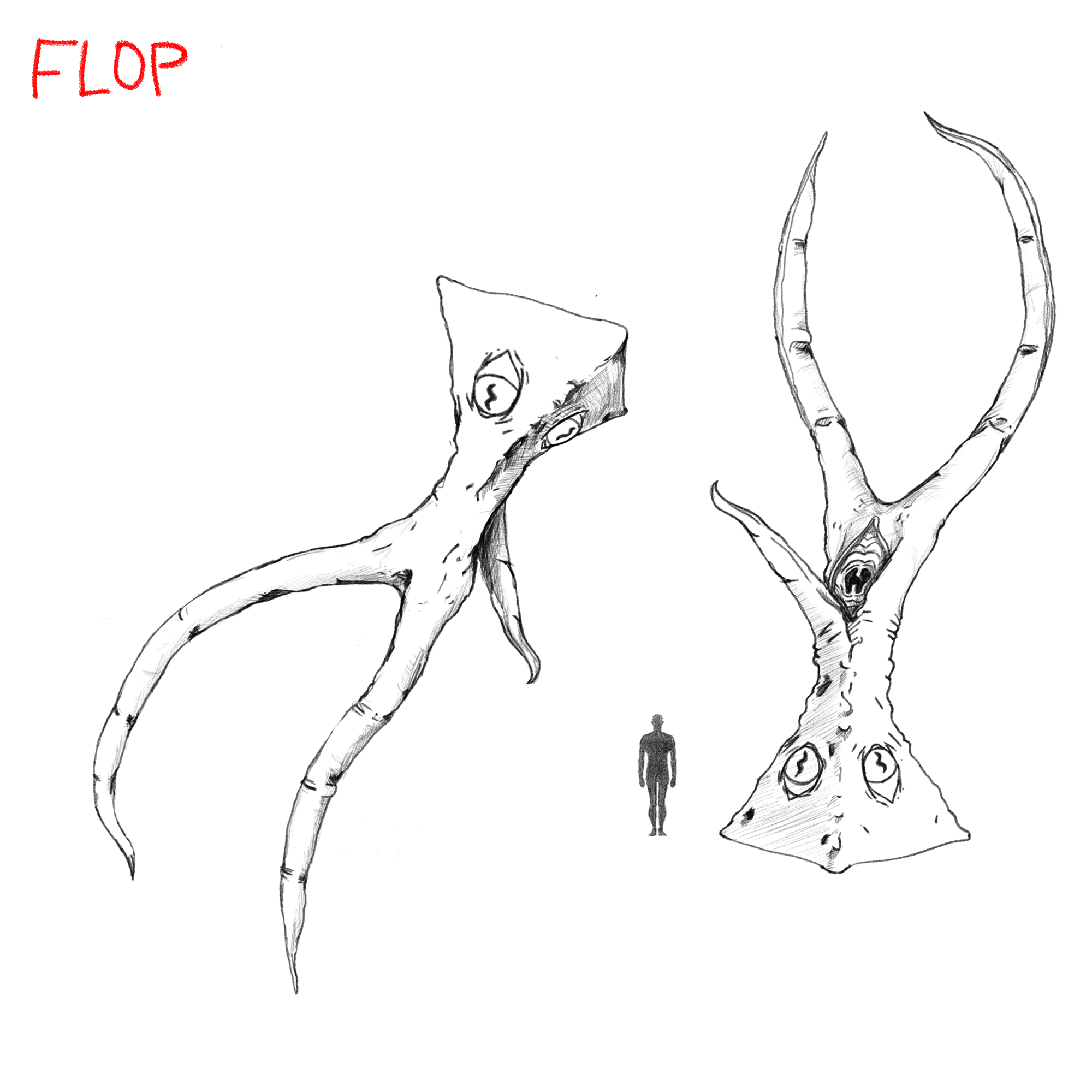 FLOP.png