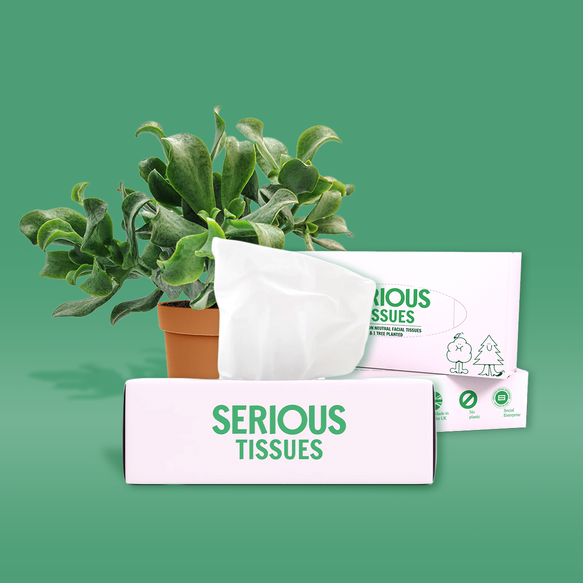 tissues bulk, soft tissues, eco-friendly tissue brands in the UK market, where to buy bulk packs of tissues,