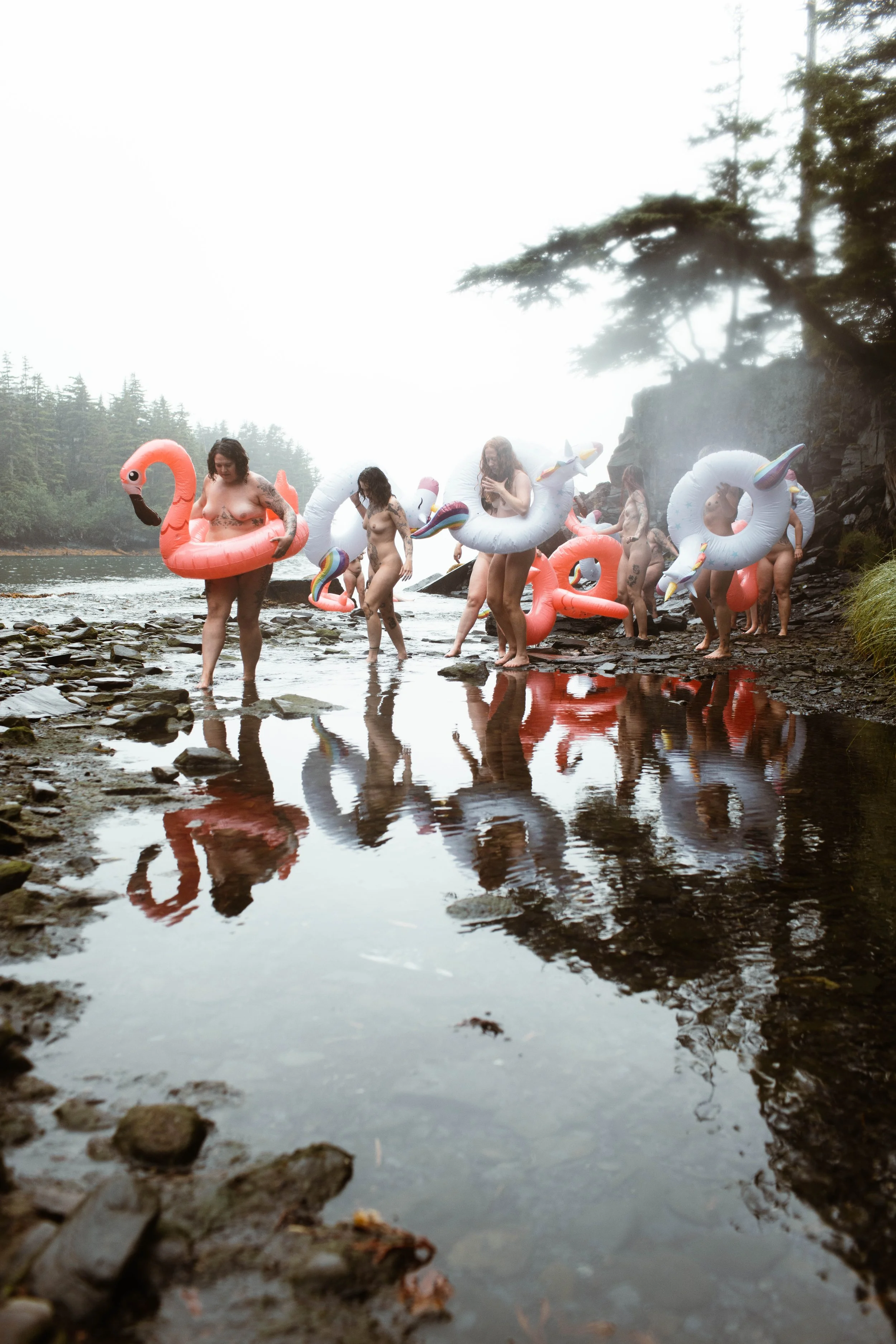 Frolicking Flamingos
