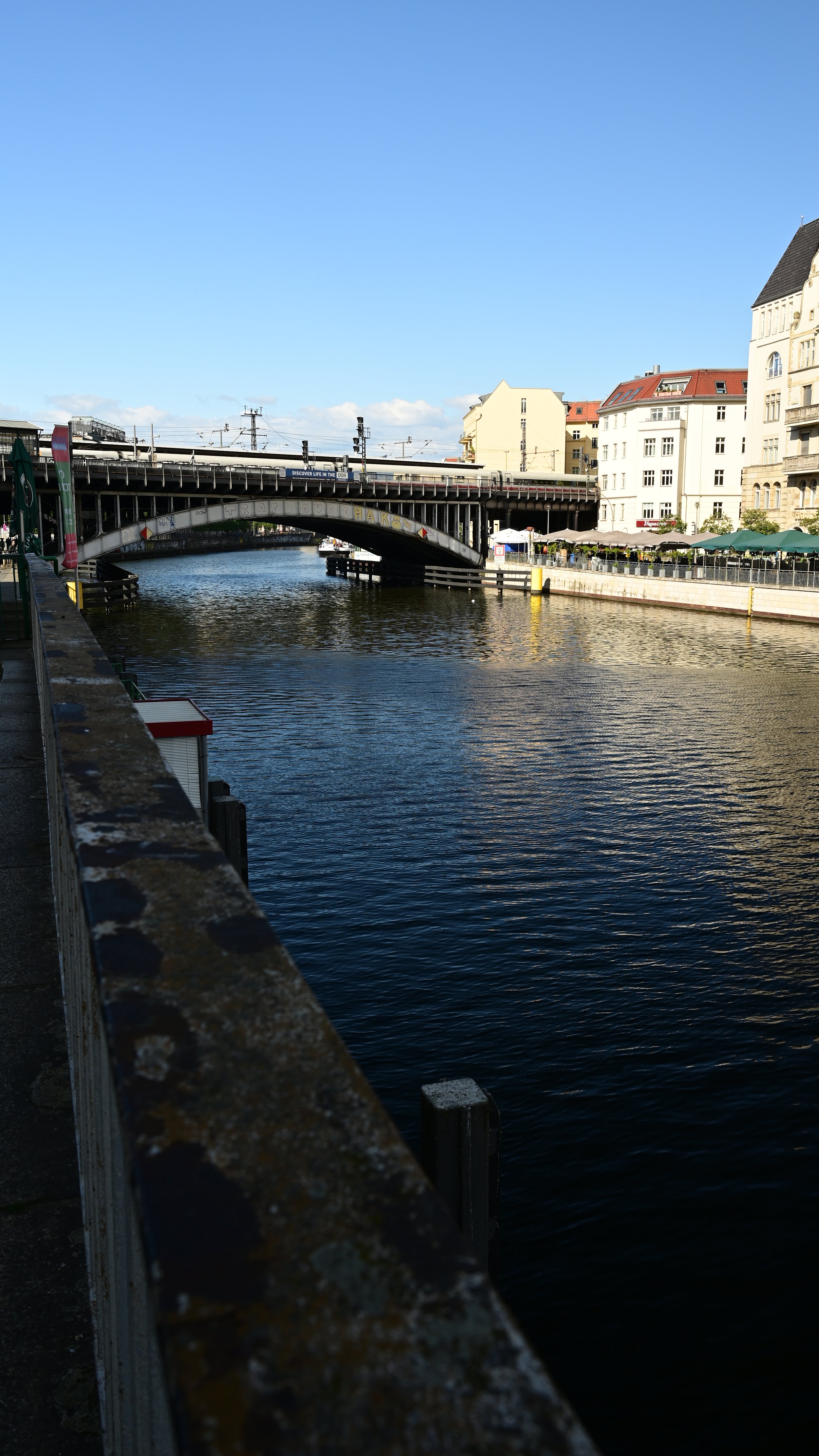 DSC_1486.JPG