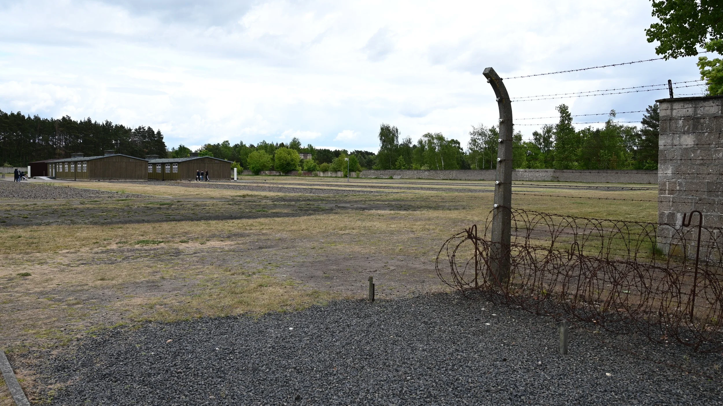 DSC_1518.JPG