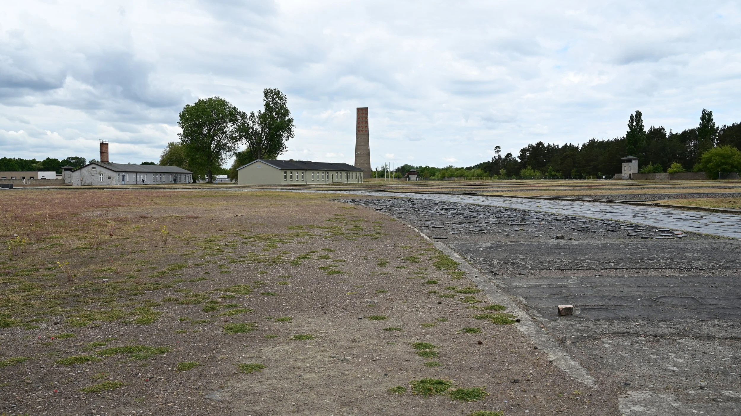 DSC_1519.JPG