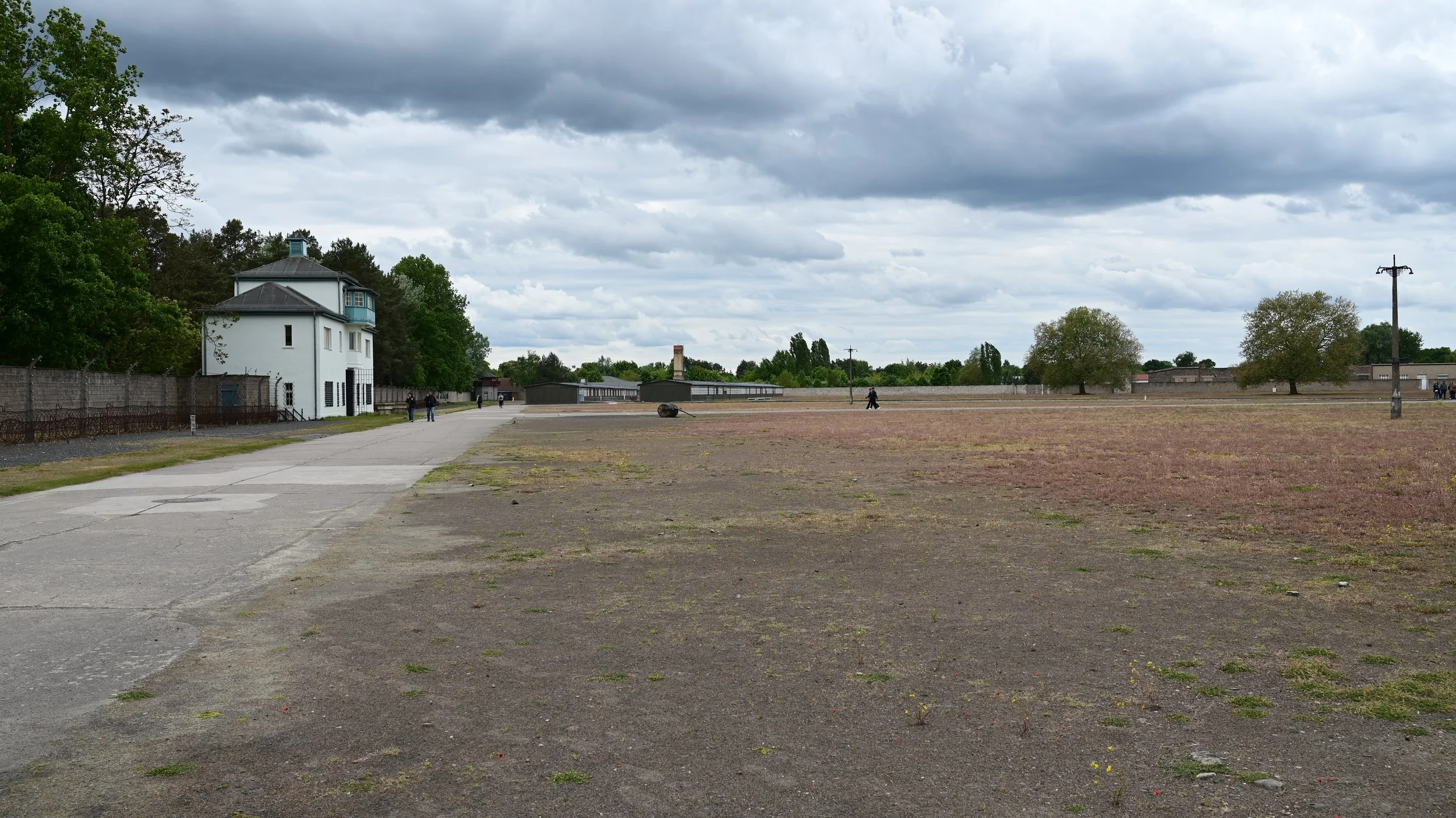 DSC_1524.JPG