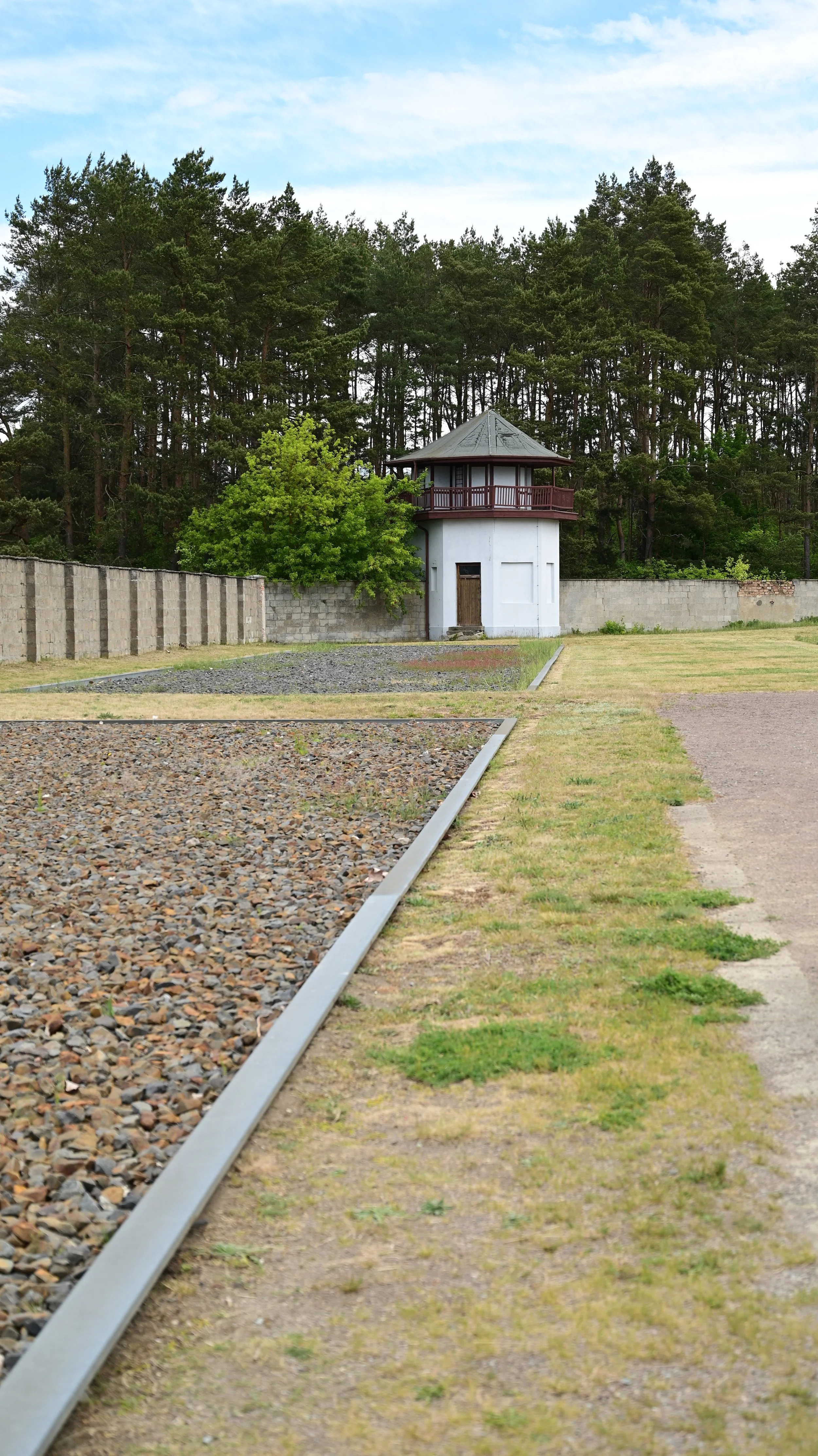 DSC_1557.JPG