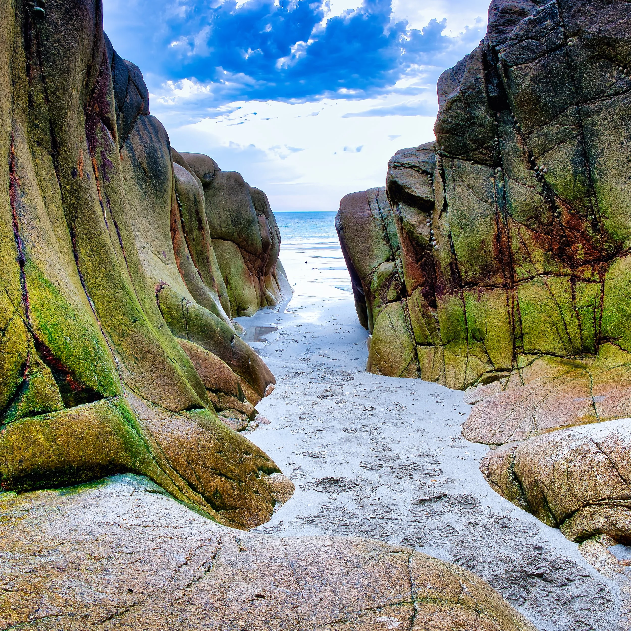 A Sandy Path