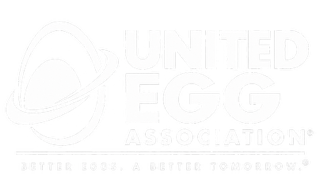 Egg.png